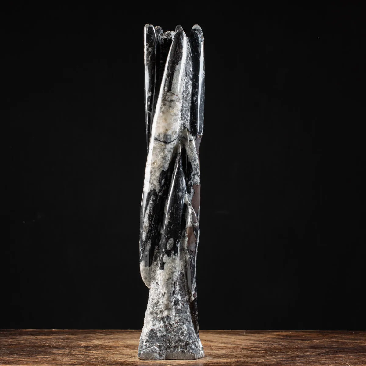 Torre con Orthoceras Fossili