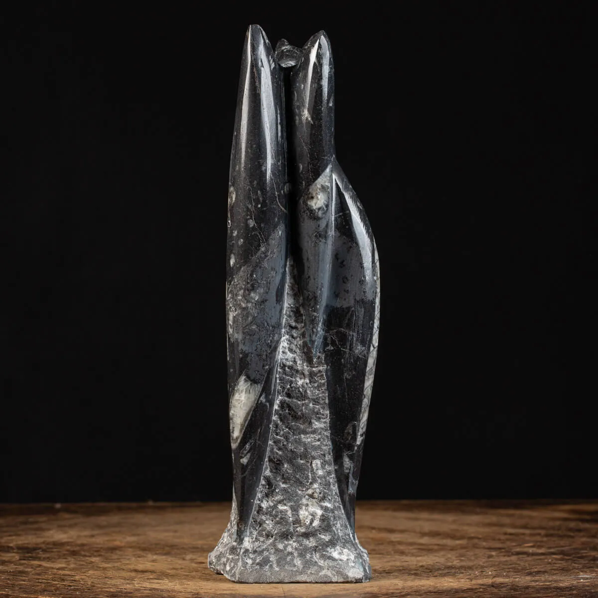 Orthoceras a Forma di Torre: L'Arte della Natura.