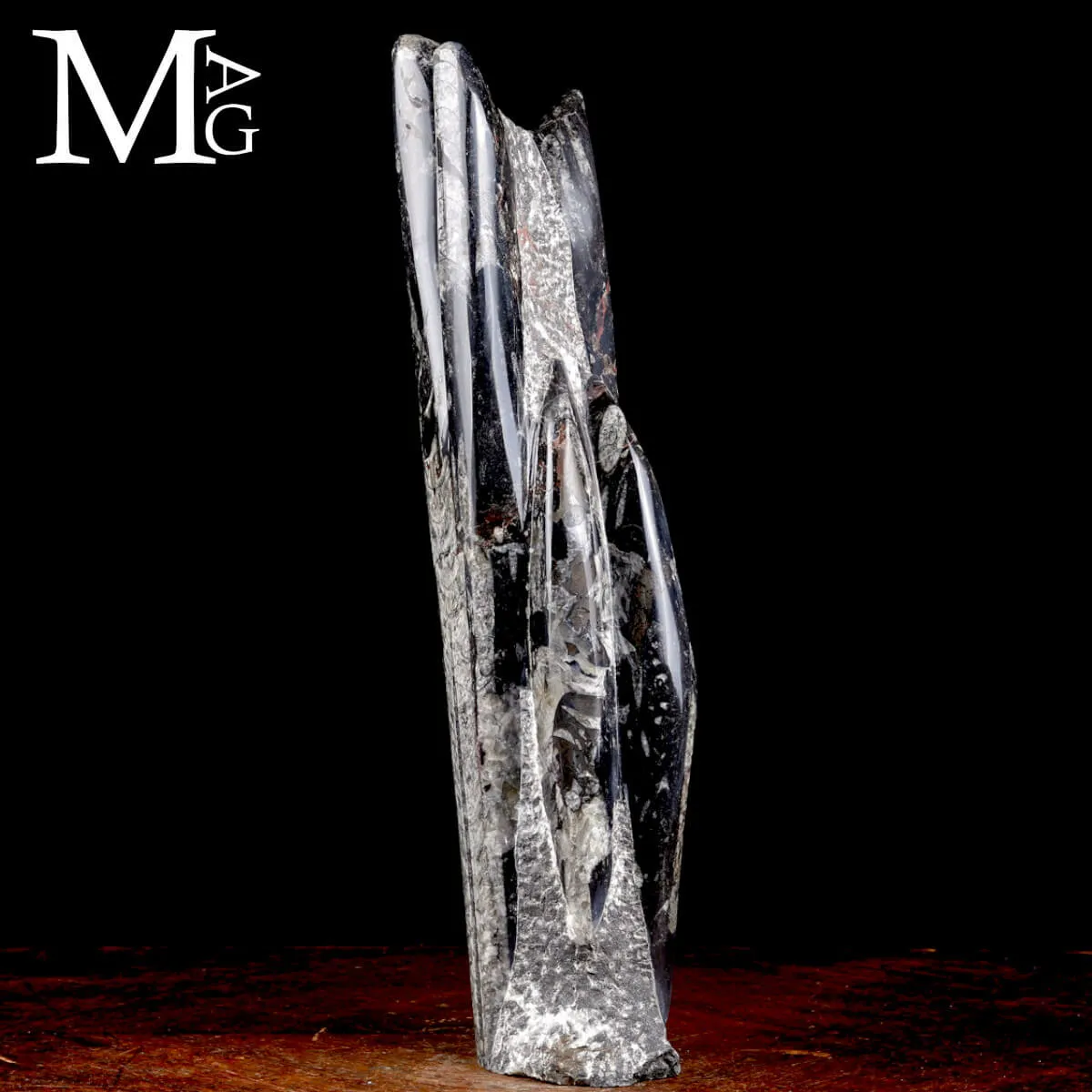 Colonna Fossile in Orthoceras – Il Viaggio del Tempo