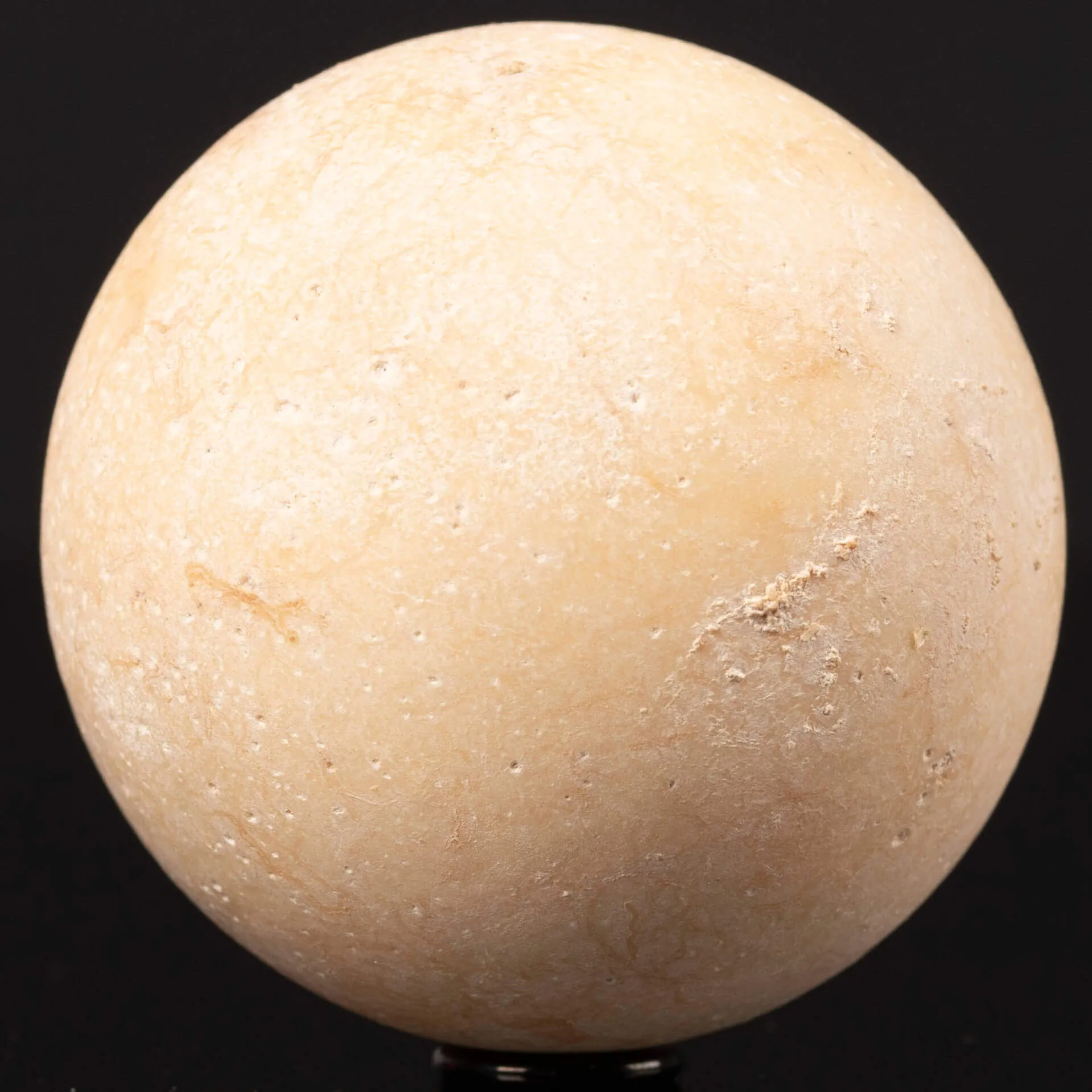 Uovo fossile di Aldabrachelys Abrupta – Madagascar.