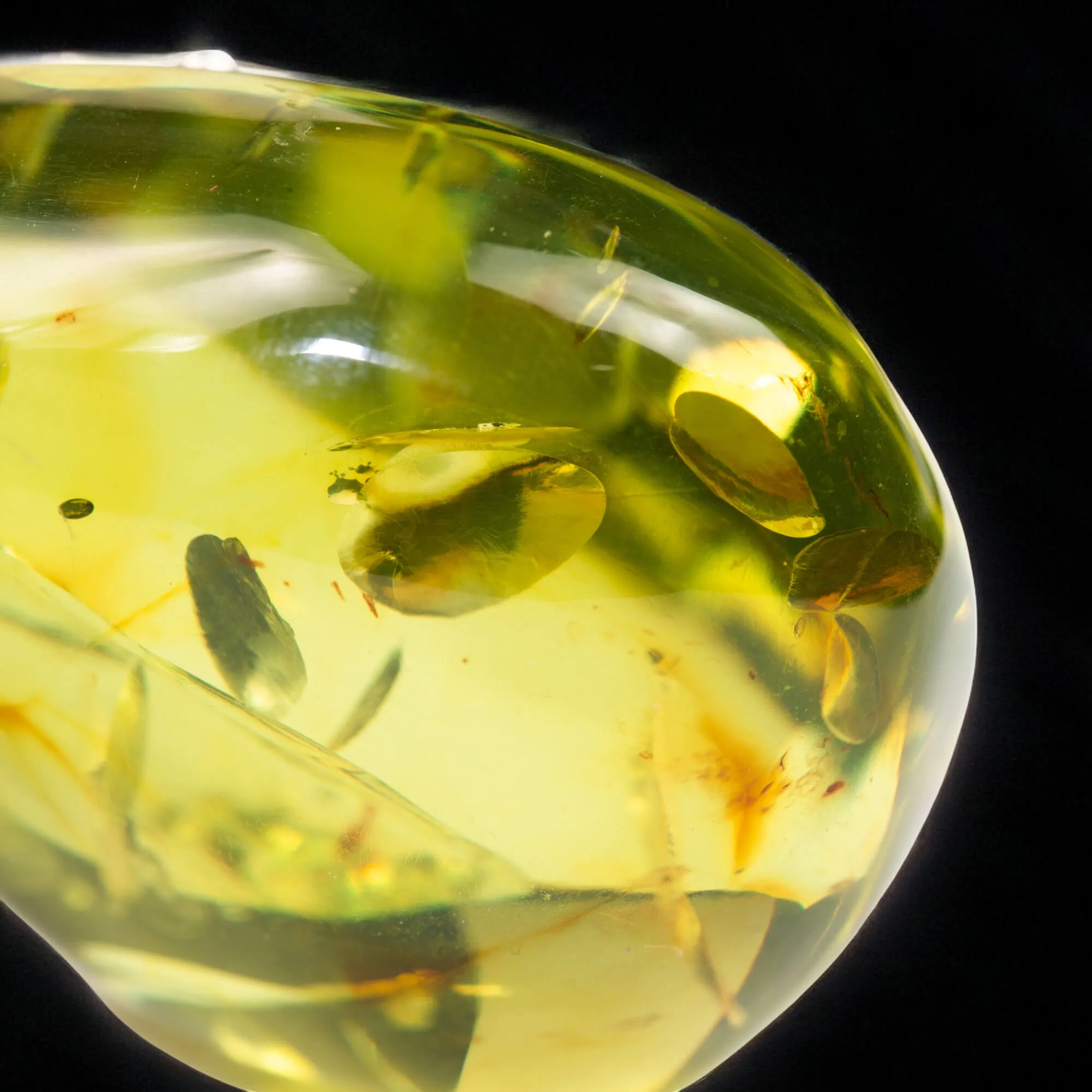 Ciondolo in Argento - Goccia di ambra verde dei Caraibi.
