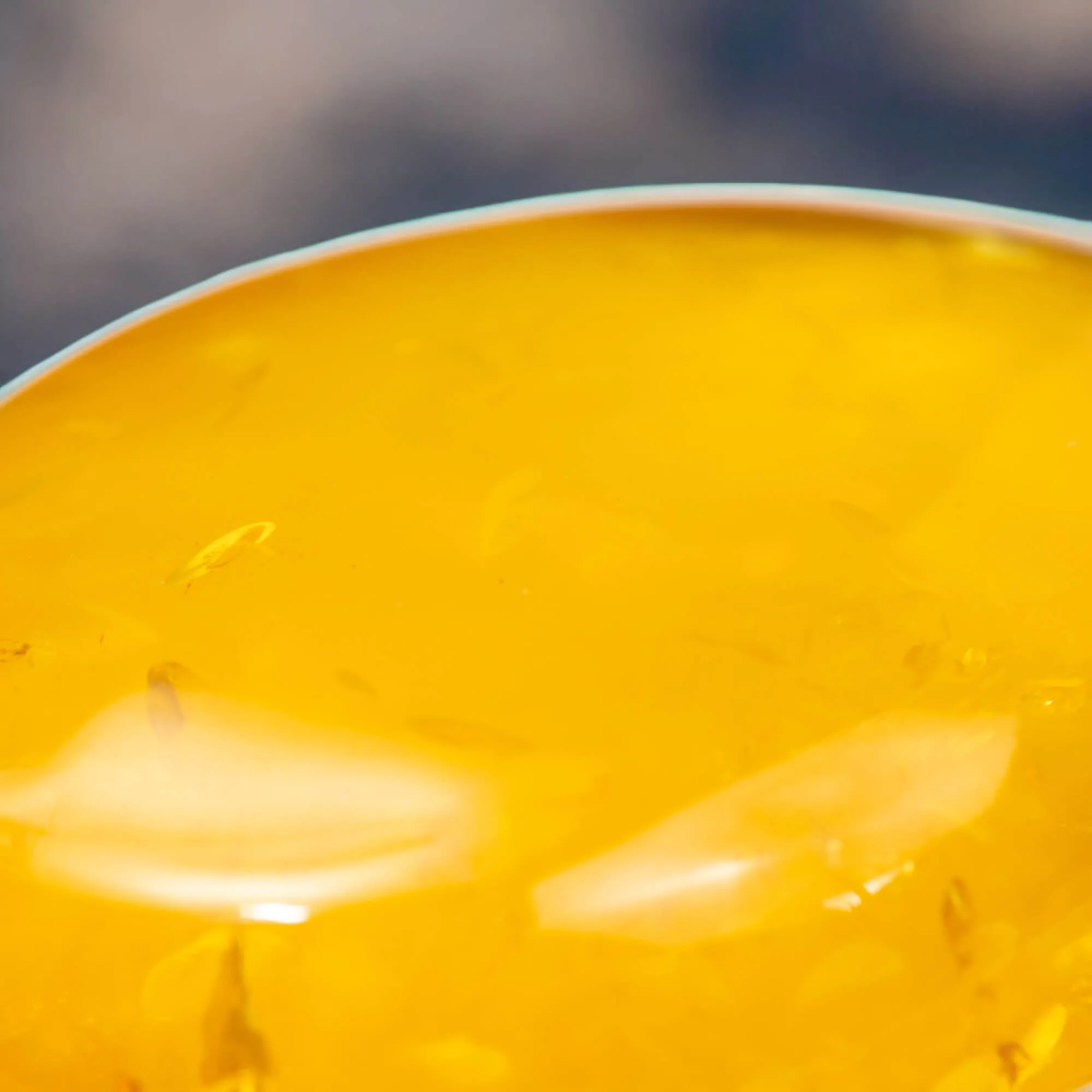 Ciondolo in argento con ambra color miele: eleganza e protezione energetica.