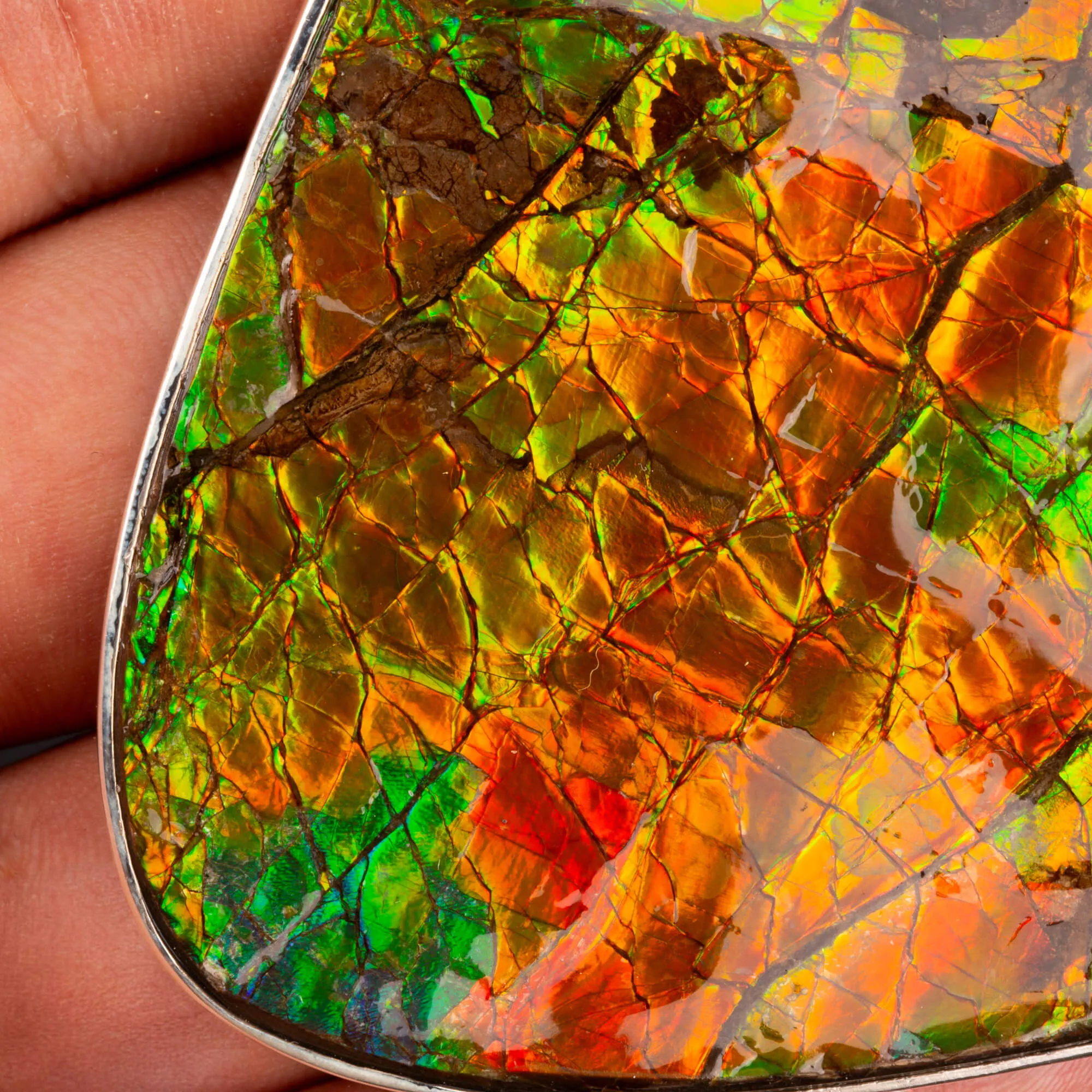 Esclusivo Pendente in Argento con Imponente Gemma di Ammolite.