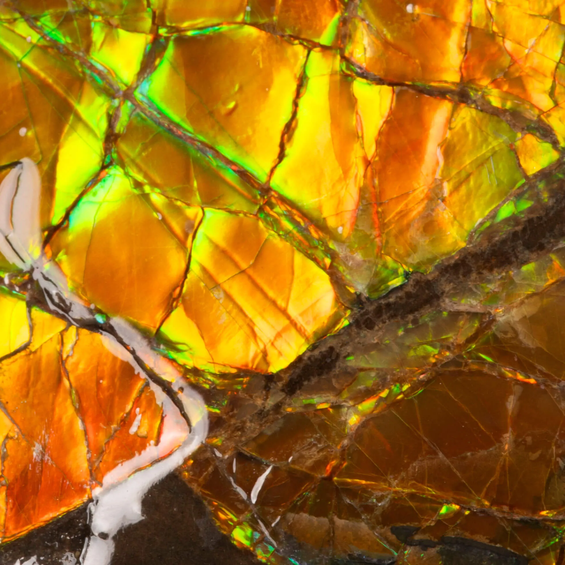 Gioiello con rara gemma di Ammolite.