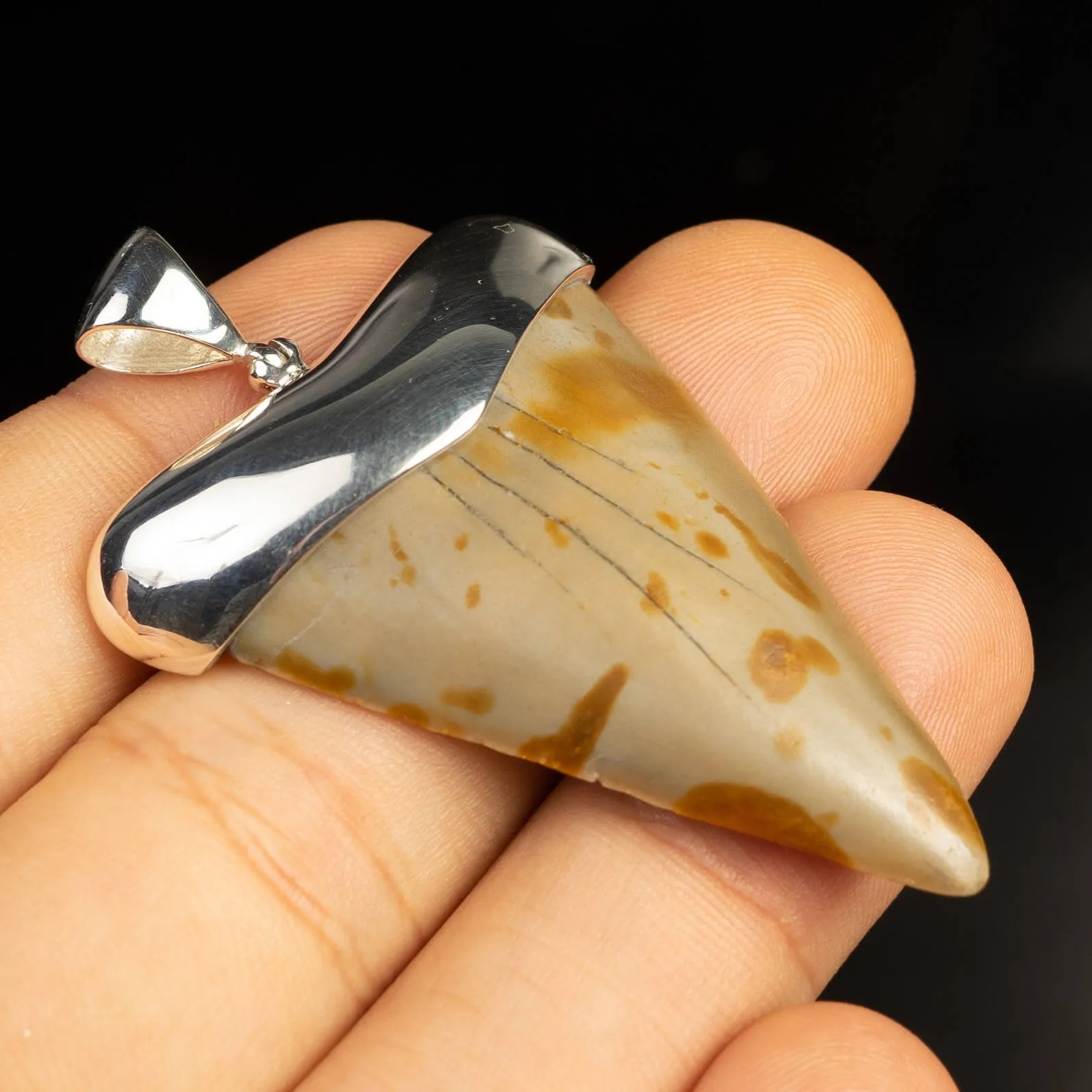 Pendente in argento con Dente di Squalo Fossile