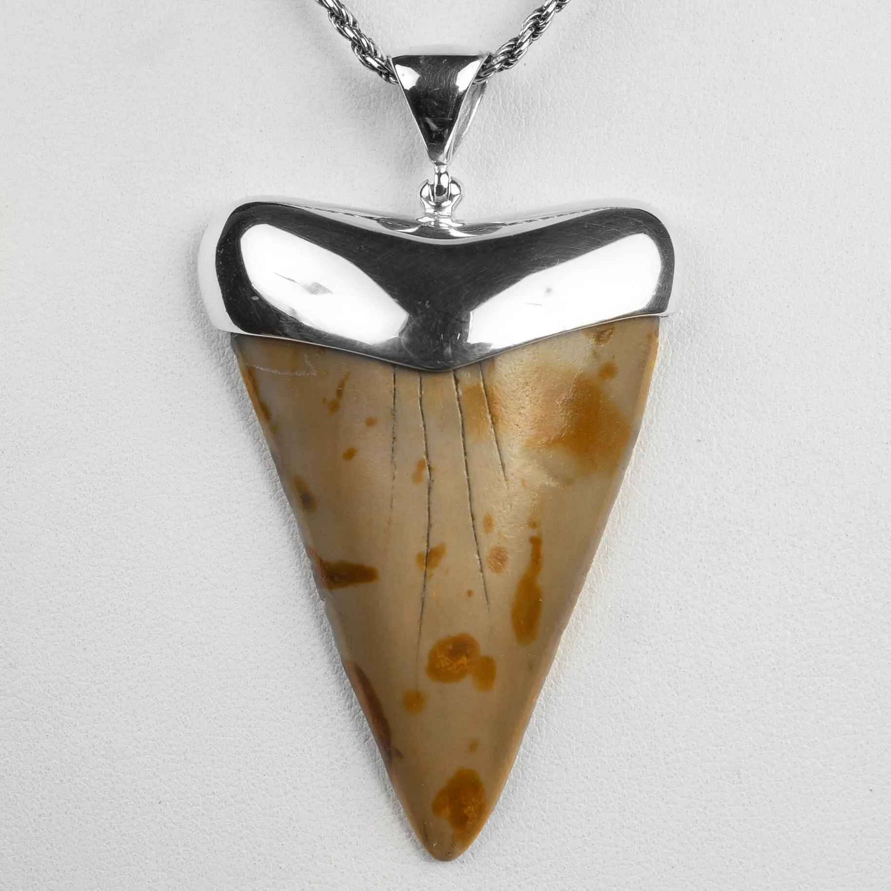 Pendente in argento con Dente di Squalo Fossile