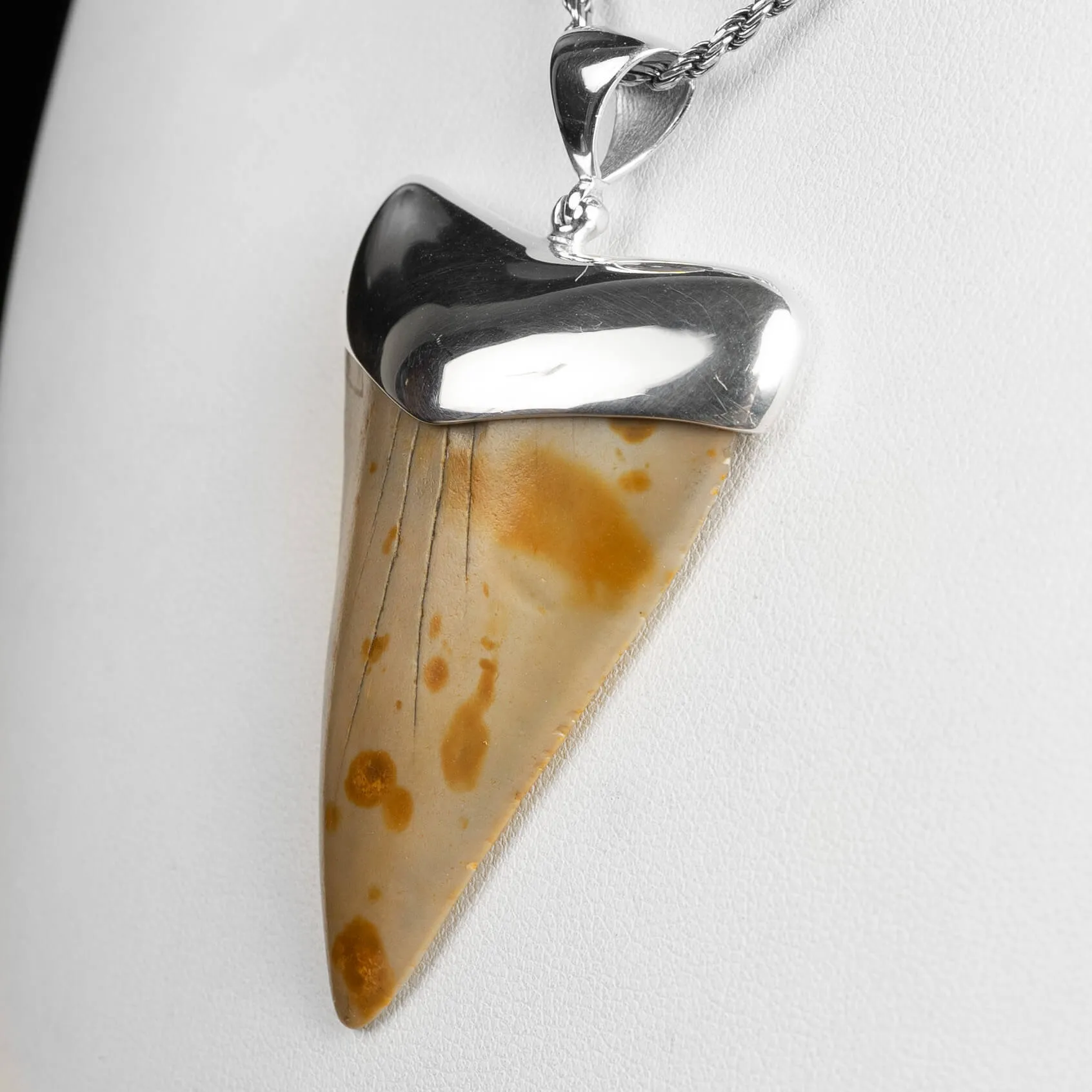 Pendente in argento con Dente di Squalo Fossile