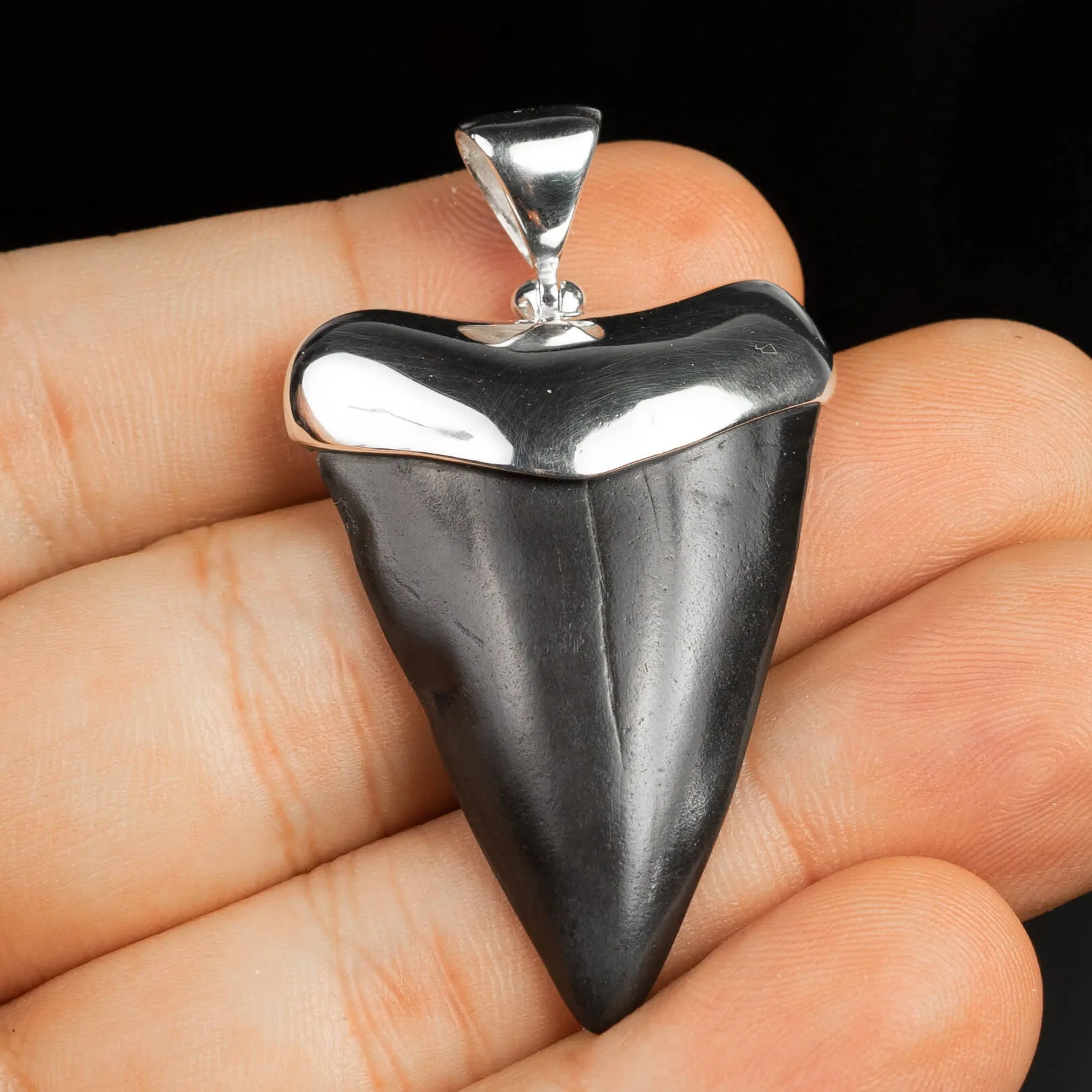 Pendente in argento con Dente di Squalo Fossile
