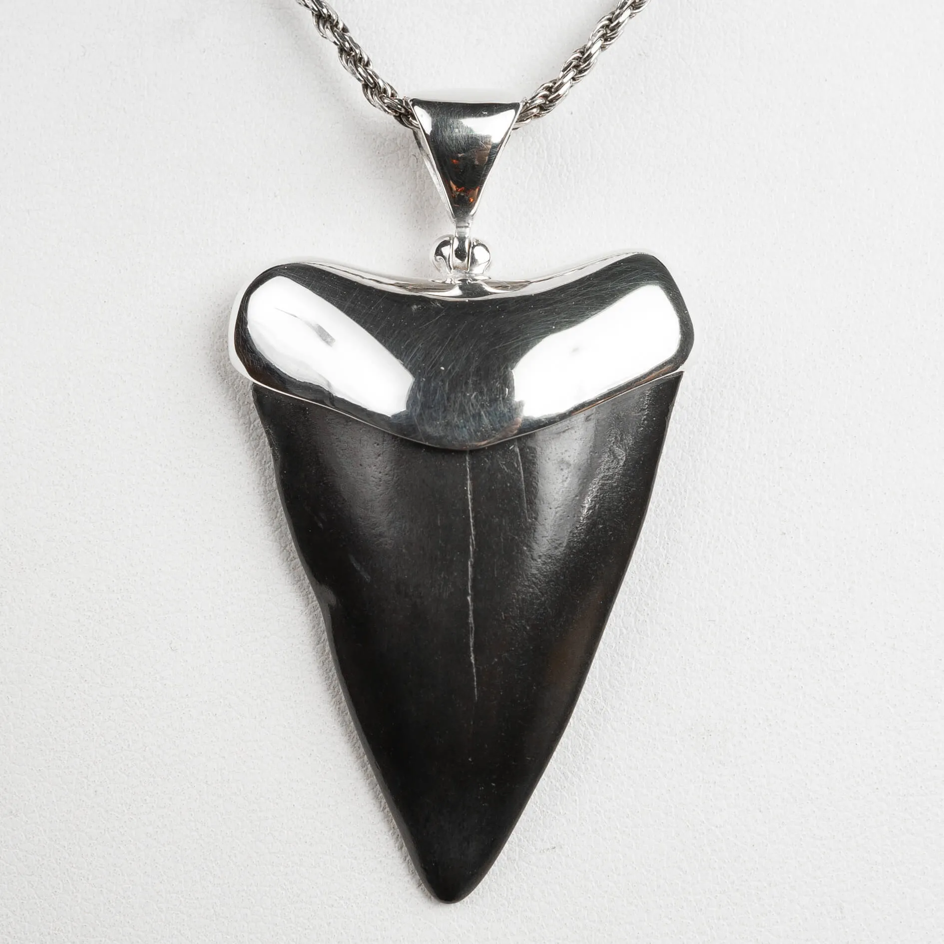 Pendente in argento con Dente di Squalo Fossile
