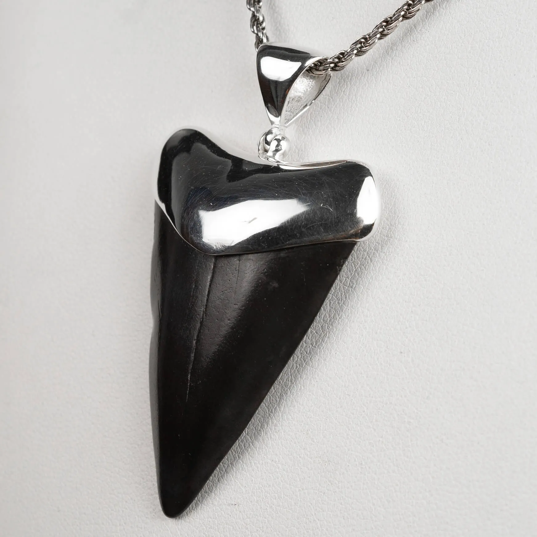 Pendente in argento con Dente di Squalo Fossile