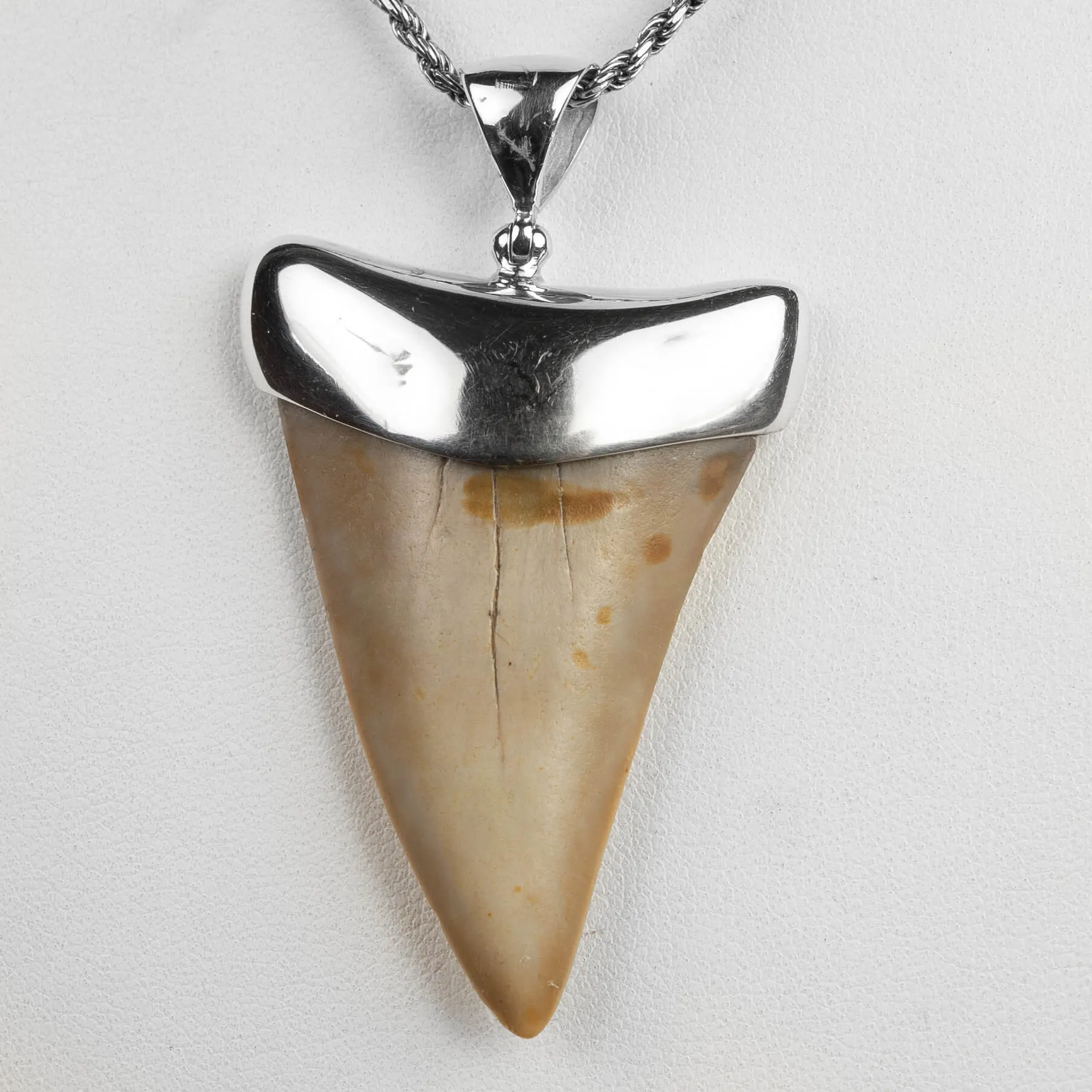 Pendente in argento con Dente di Squalo Fossile
