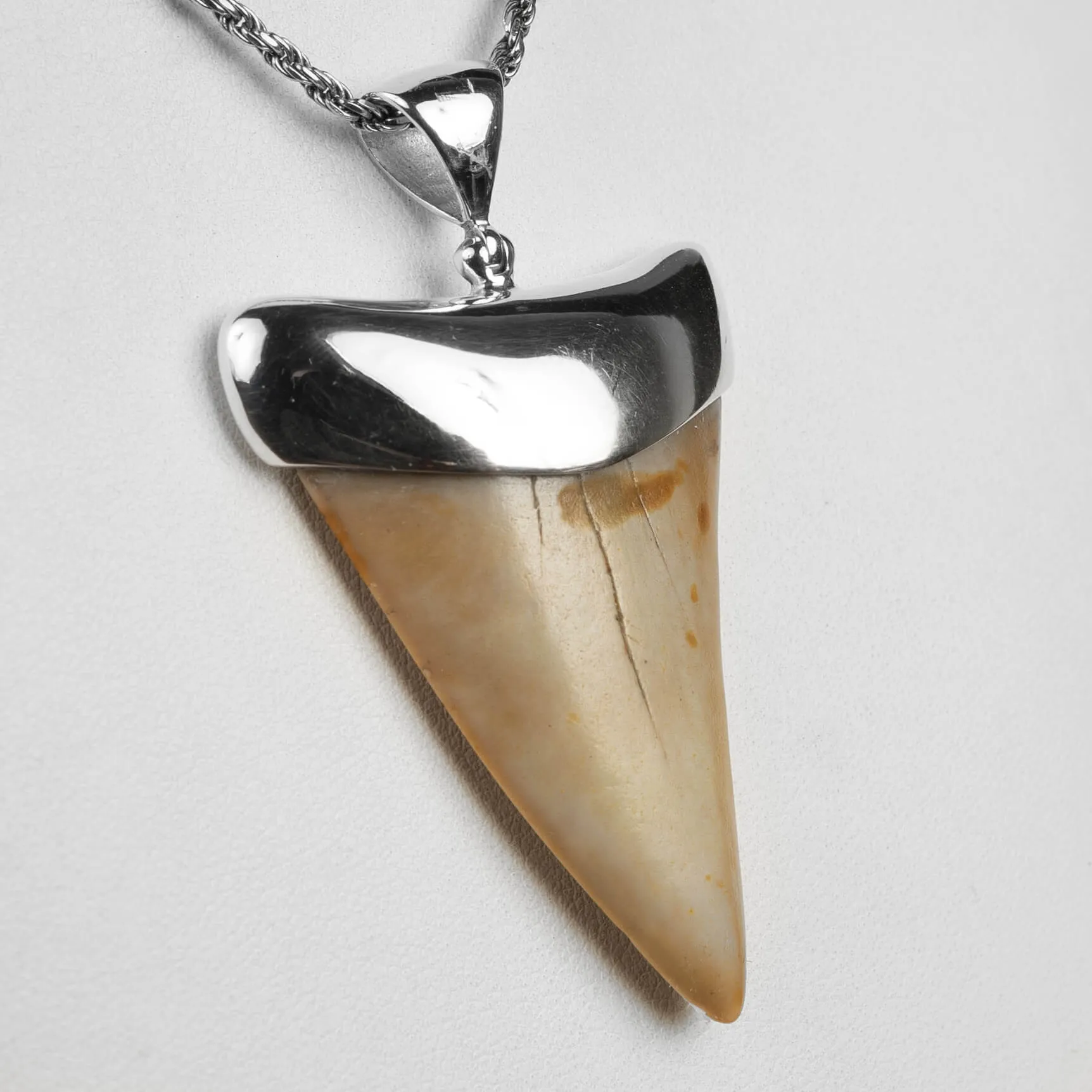 Pendente in argento con Dente di Squalo Fossile