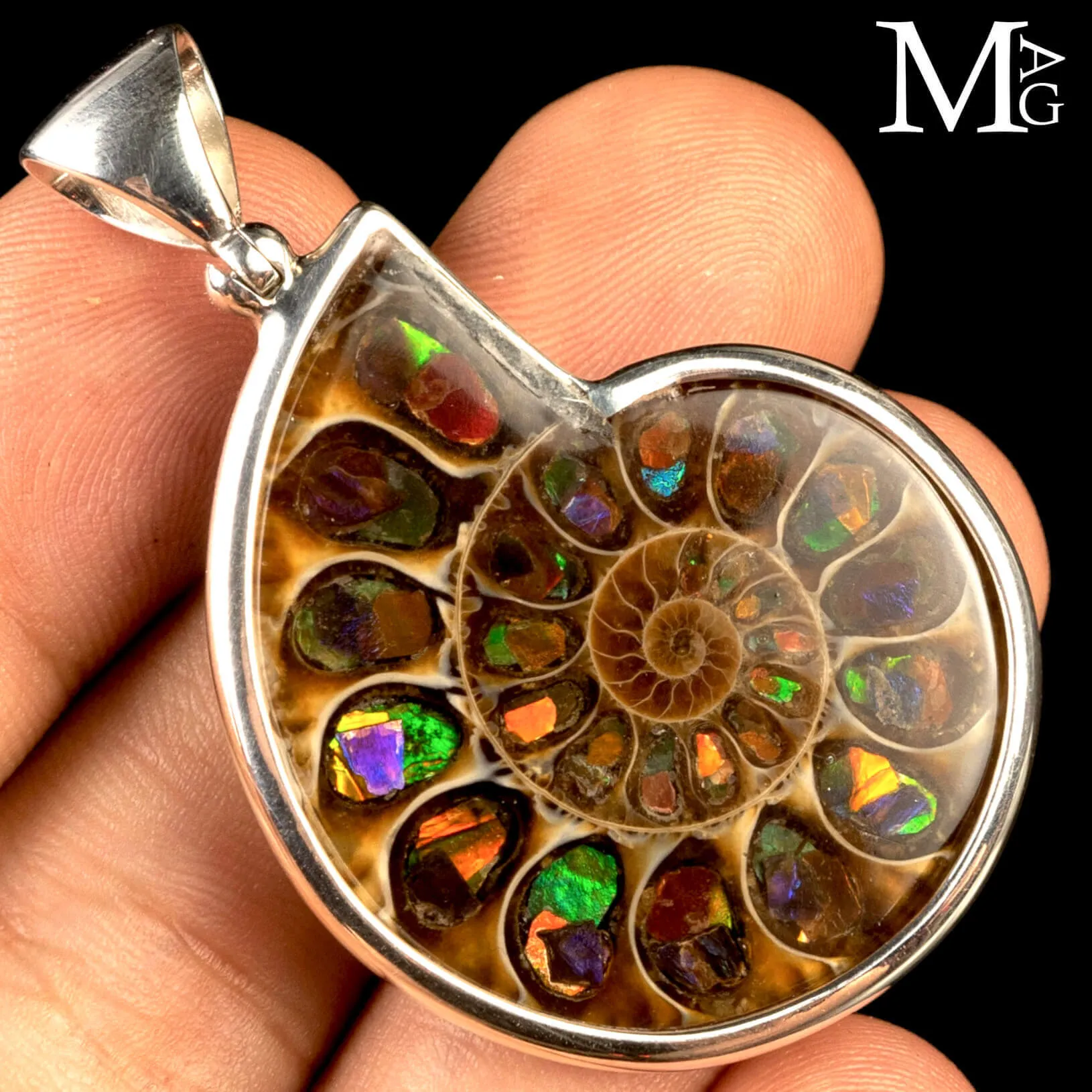 Ciondolo in argento con Ammonite e Ammolite