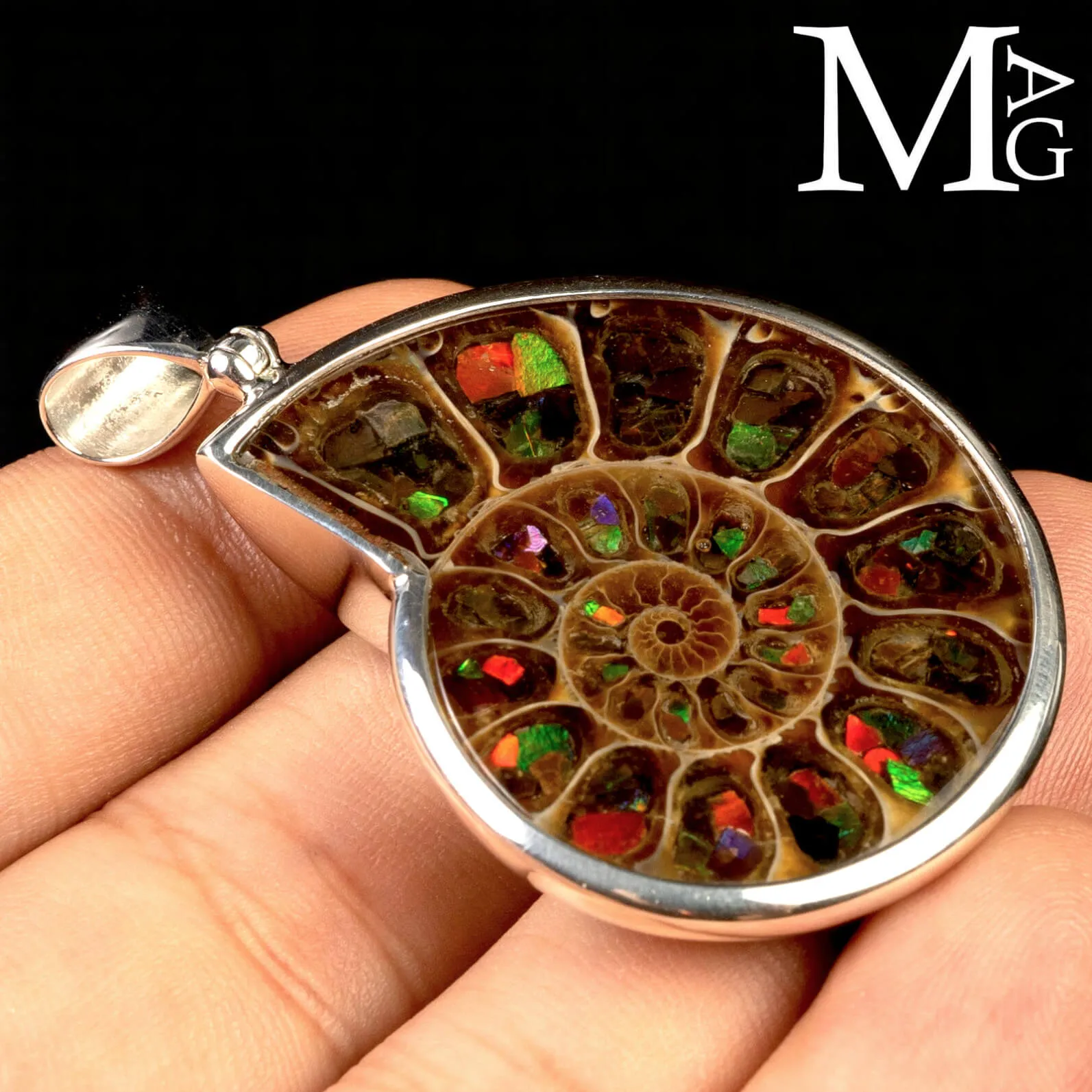 Ciondolo in argento con Ammonite Cleoniceras e intarsi di Ammolite.