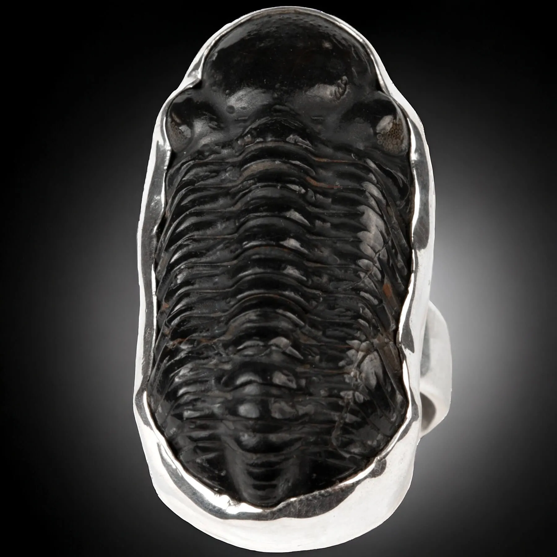 Anello Esclusivo con Trilobite Phacopid: Eleganza Giurassica in Stile Moderno