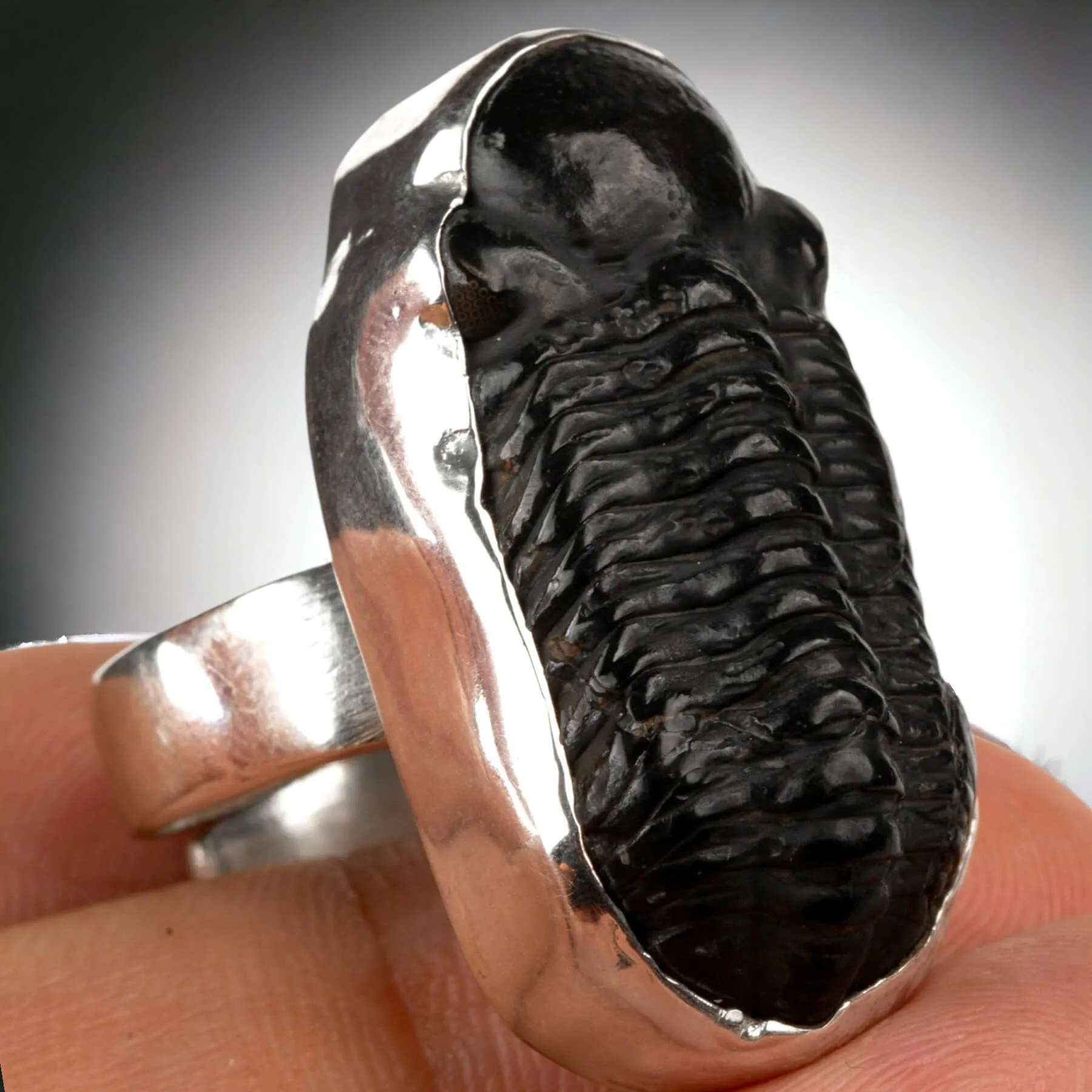 Anello Esclusivo con Trilobite Phacopid: Eleganza Giurassica in Stile Moderno