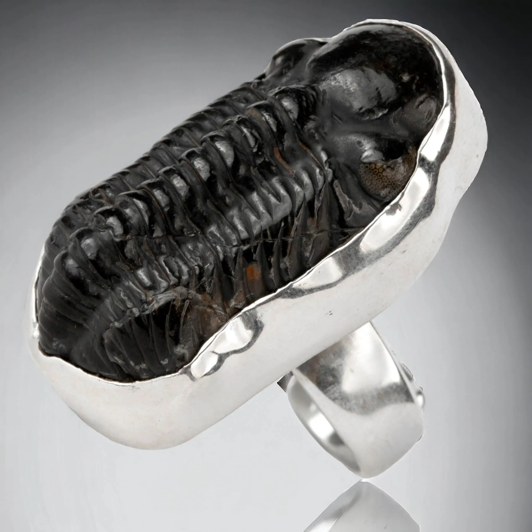 Anello Esclusivo con Trilobite Phacopid: Eleganza Giurassica in Stile Moderno