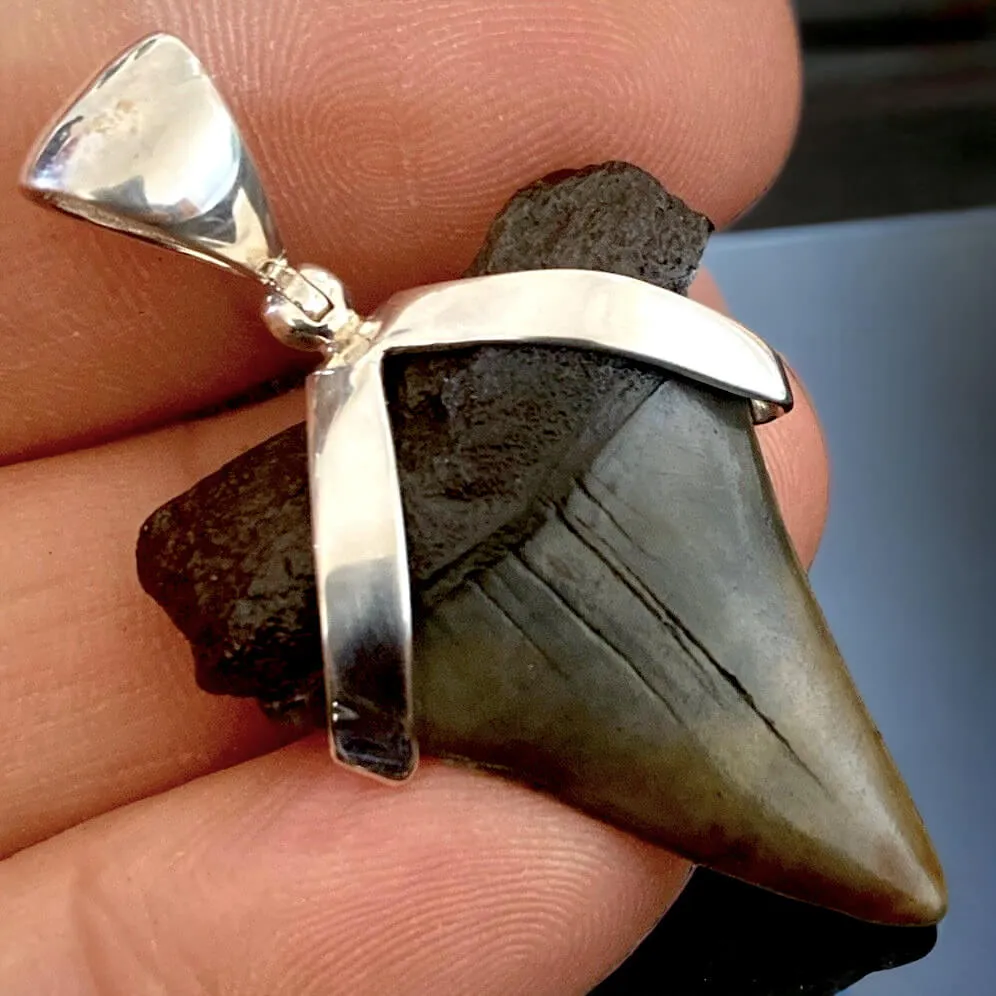 Pendente in Argento 925 con Dente Fossile di Squalo Bianco Hastalis - Un Viaggio nel Tempo