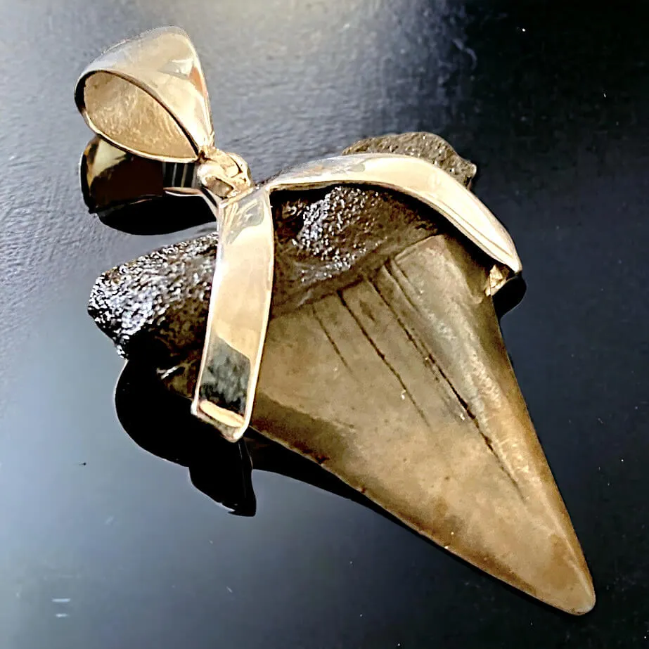 Pendente in Argento 925 con Dente Fossile di Squalo Bianco Hastalis - Un Viaggio nel Tempo