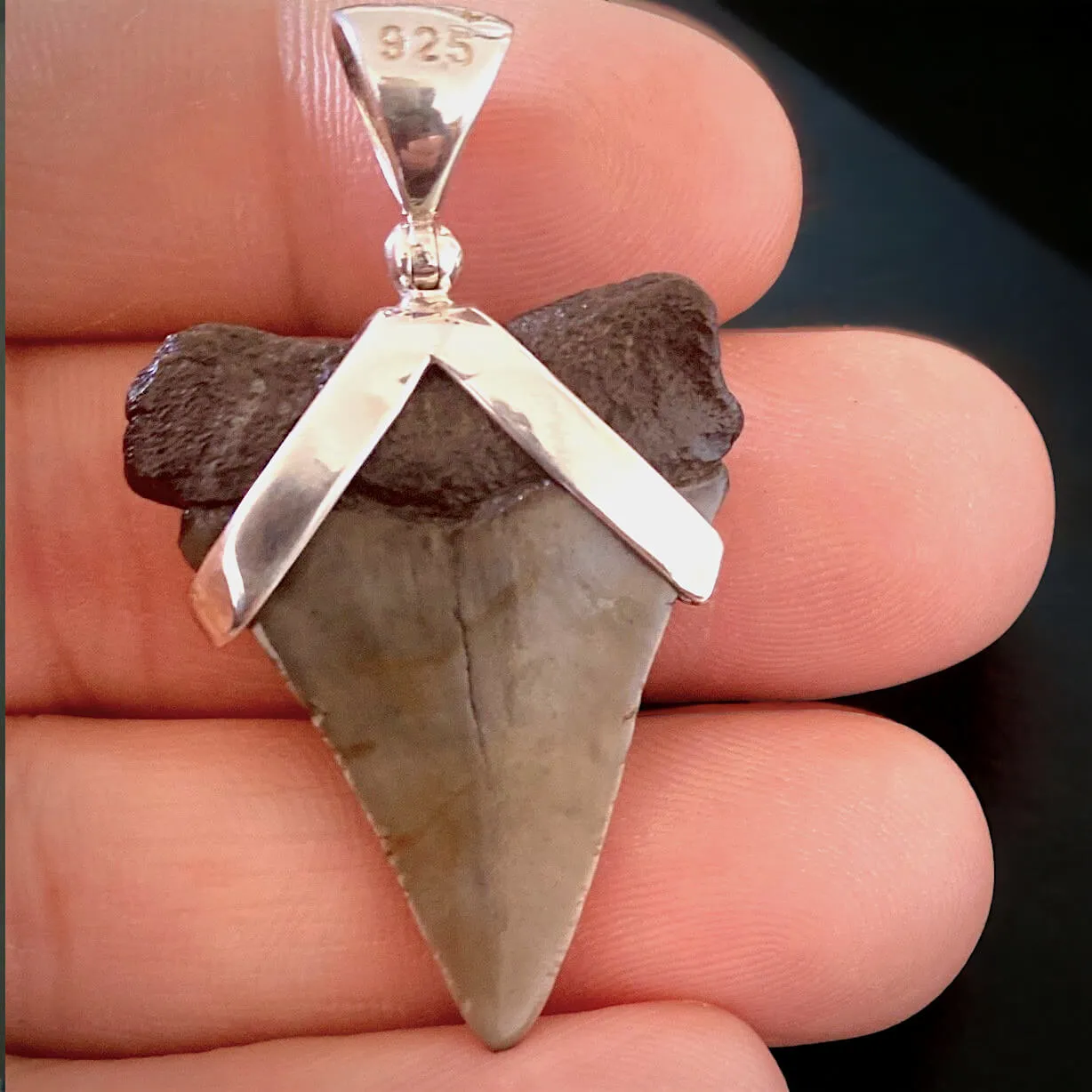 Pendente in Argento 925 con Dente Fossile di Squalo Bianco Hastalis - Un Viaggio nel Tempo