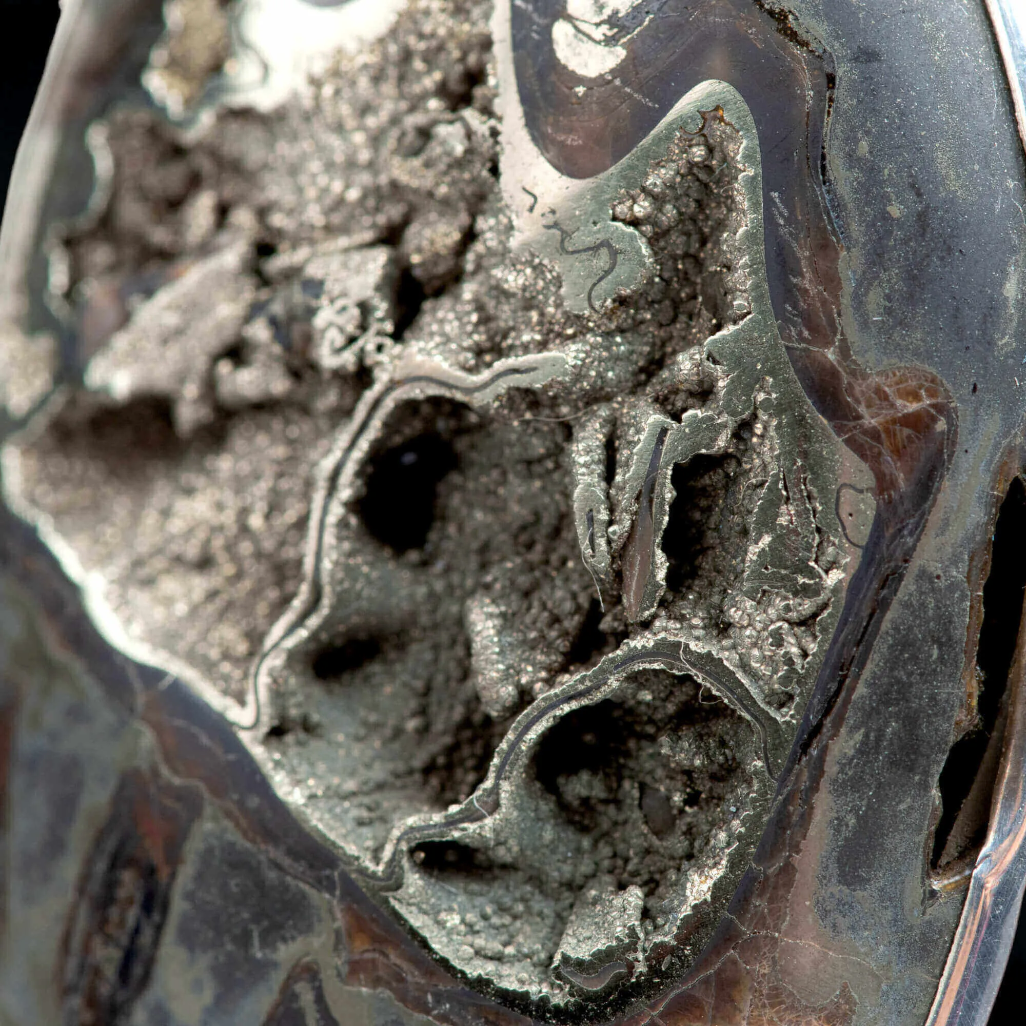Gioiello in Argento con Ammonite Piritizzata.