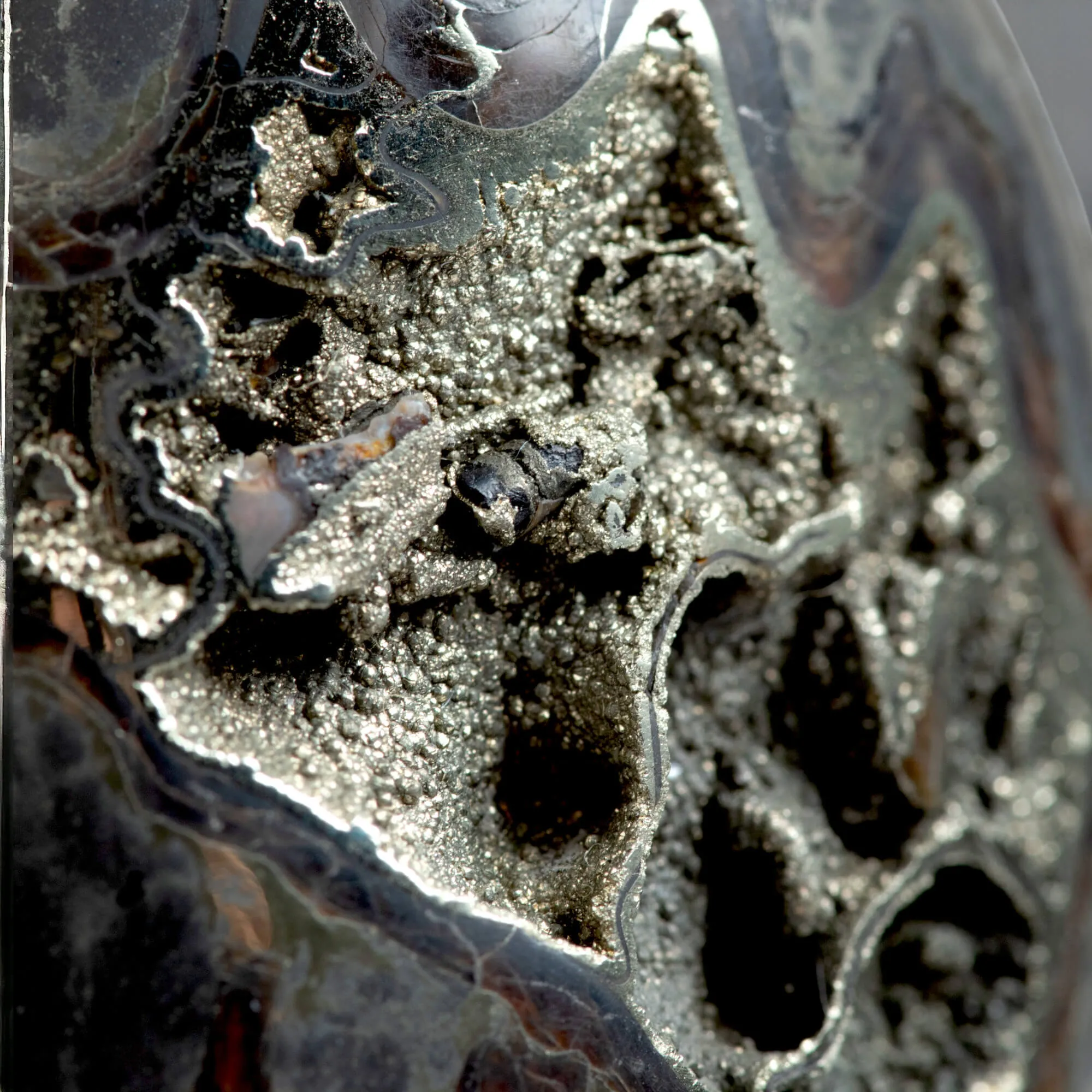 Gioiello in Argento con Ammonite Piritizzata.