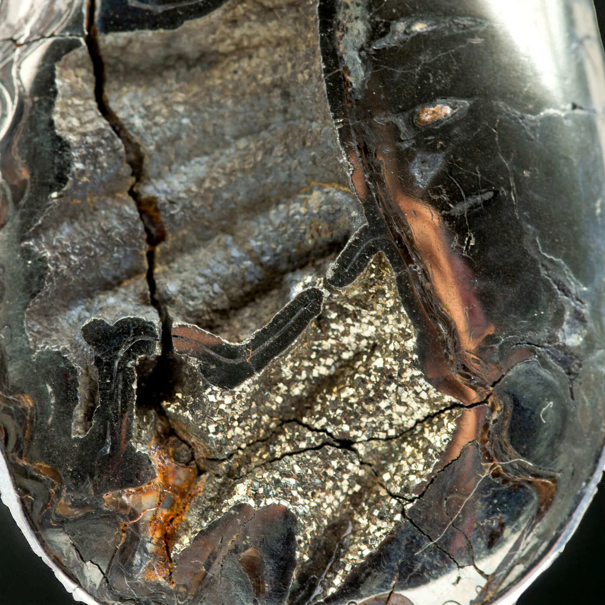 Antichi Riflessi: Argento con Ammonite Piritizzata.
