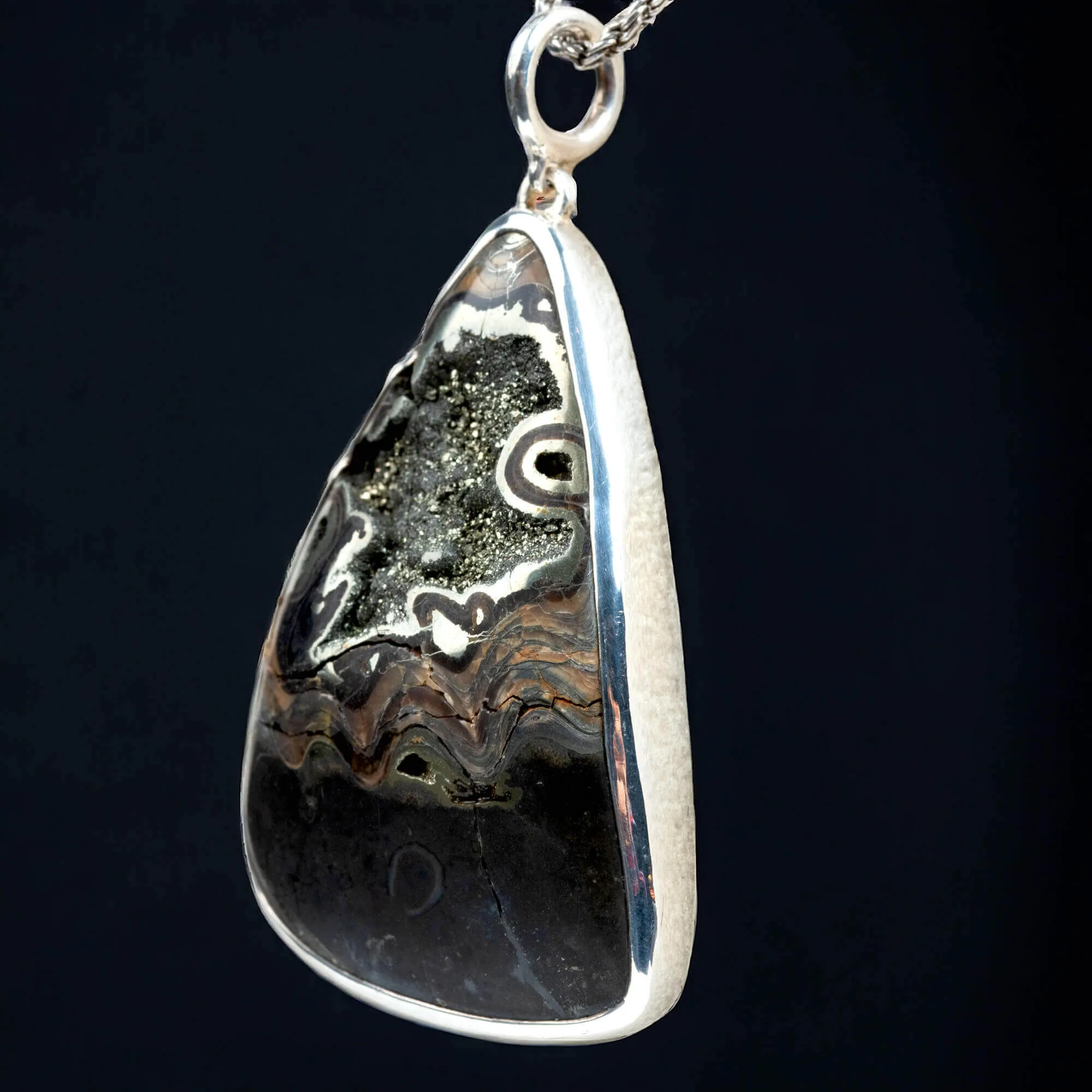 La Bellezza della Trasformazione, Ammonite e Cristalli di Pirite.