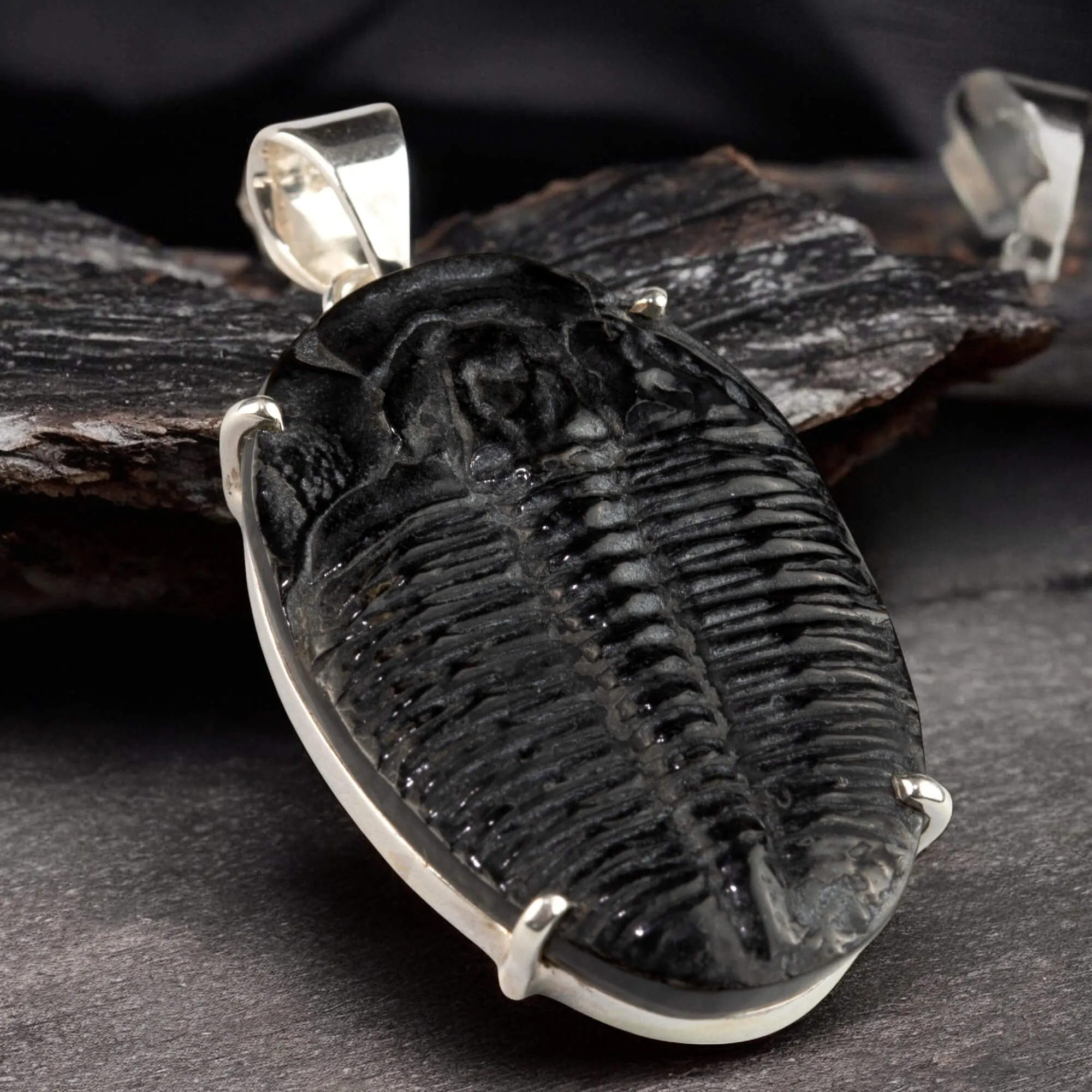 Ciondolo con Trilobite Fossile Elrathia Kingii - Gioielli Giurassici.