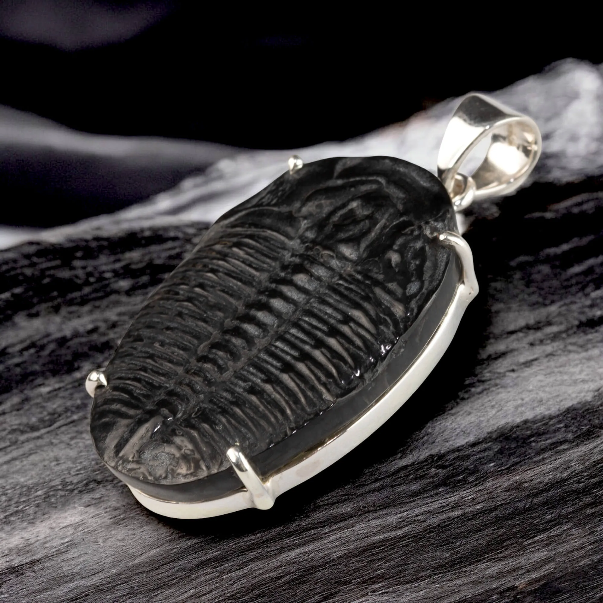 Ciondolo con Trilobite Fossile Elrathia Kingii - Gioielli Giurassici.