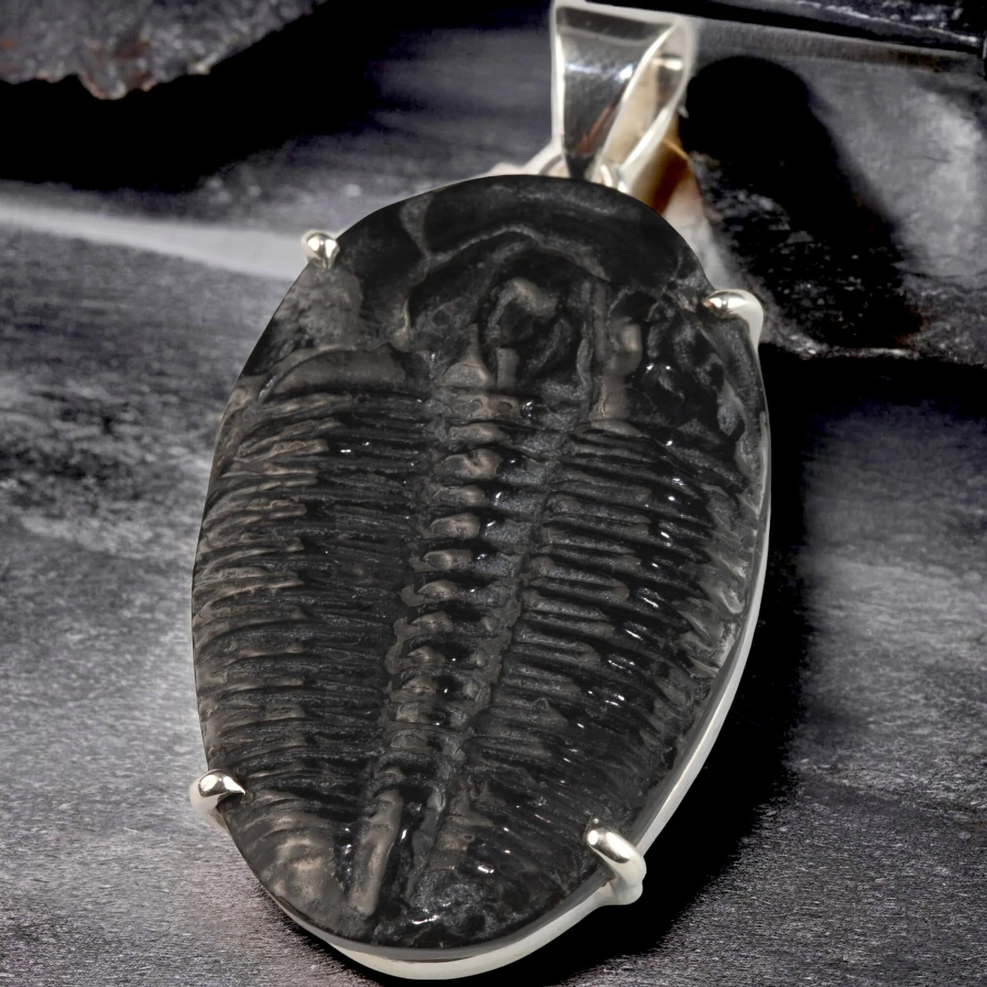 Ciondolo con Trilobite Fossile Elrathia Kingii - Gioielli Giurassici.
