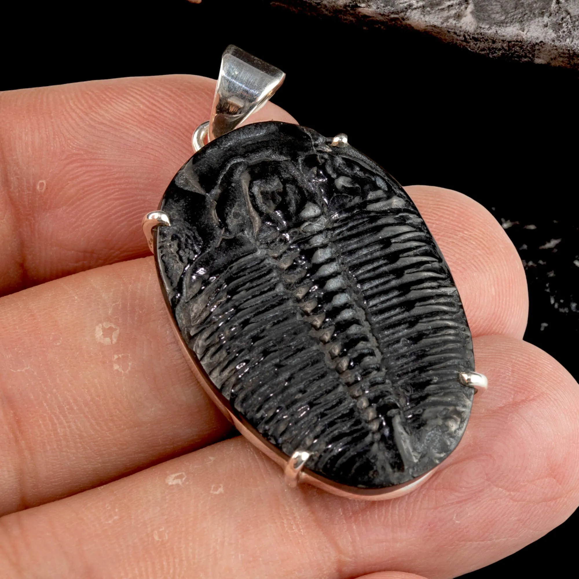 Ciondolo con Trilobite Fossile Elrathia Kingii - Gioielli Giurassici.