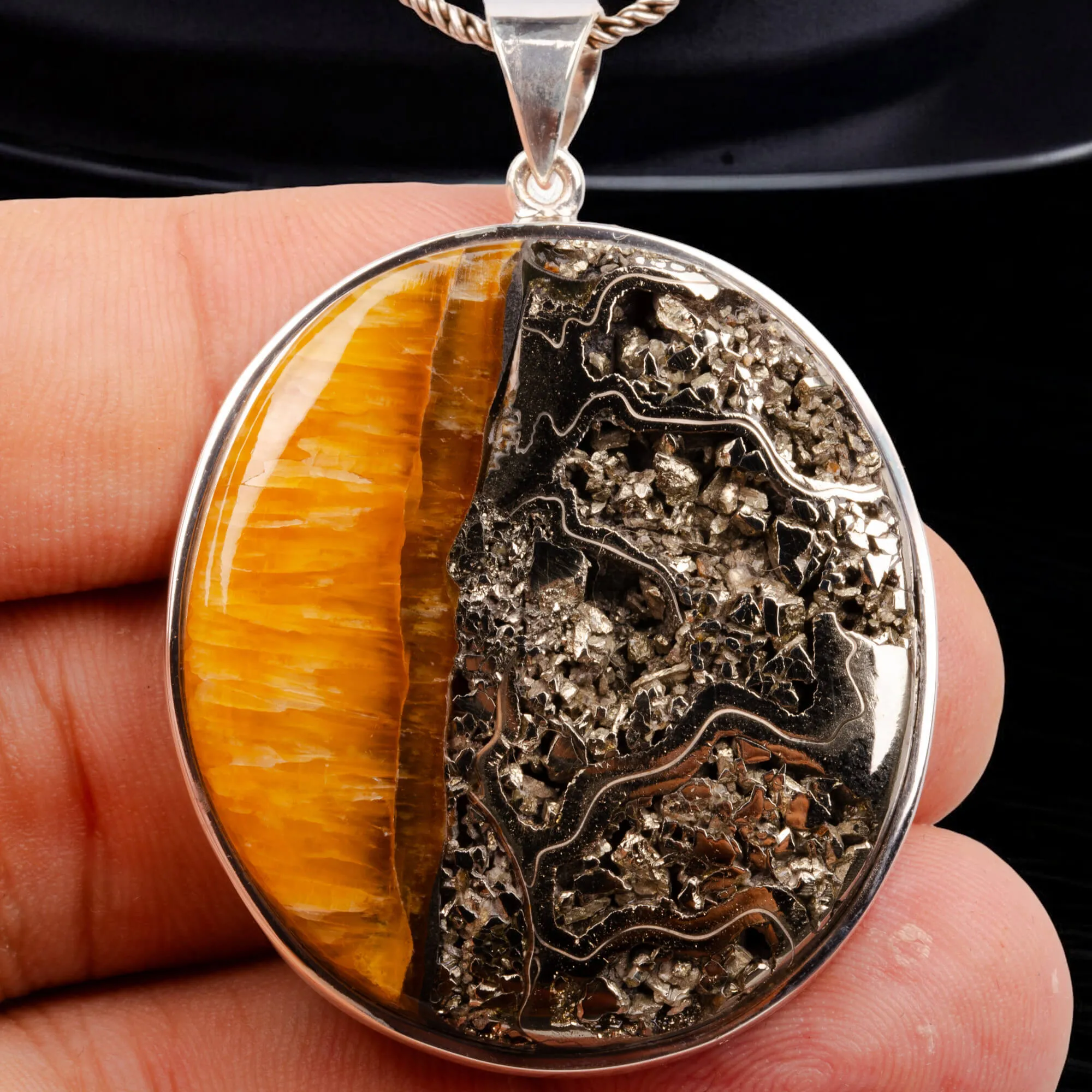 Rara Gemma di Ammonite Fossile Piritizzata.