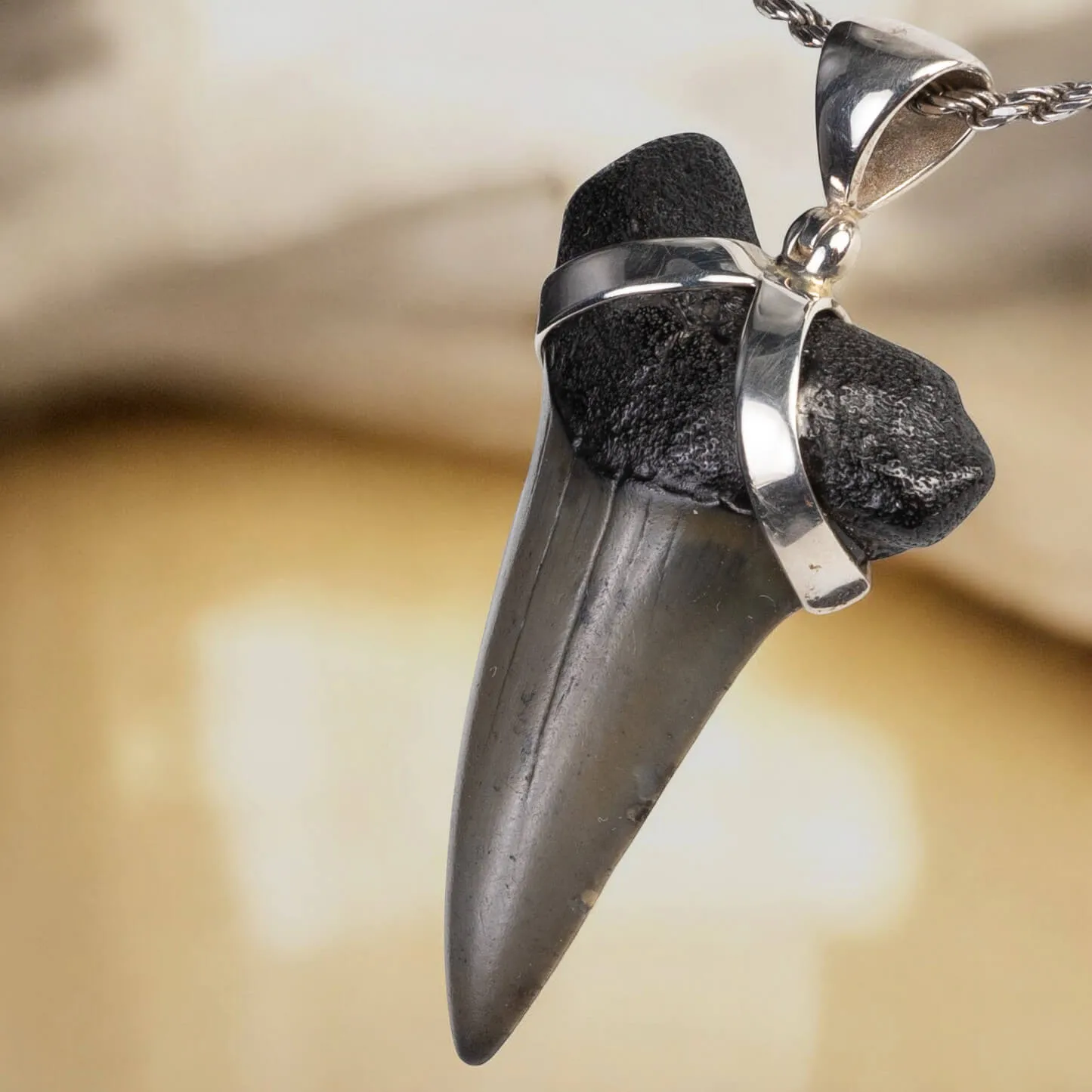 Ciondolo con Dente Fossile di Squalo: Un Tesoro Preistorico.