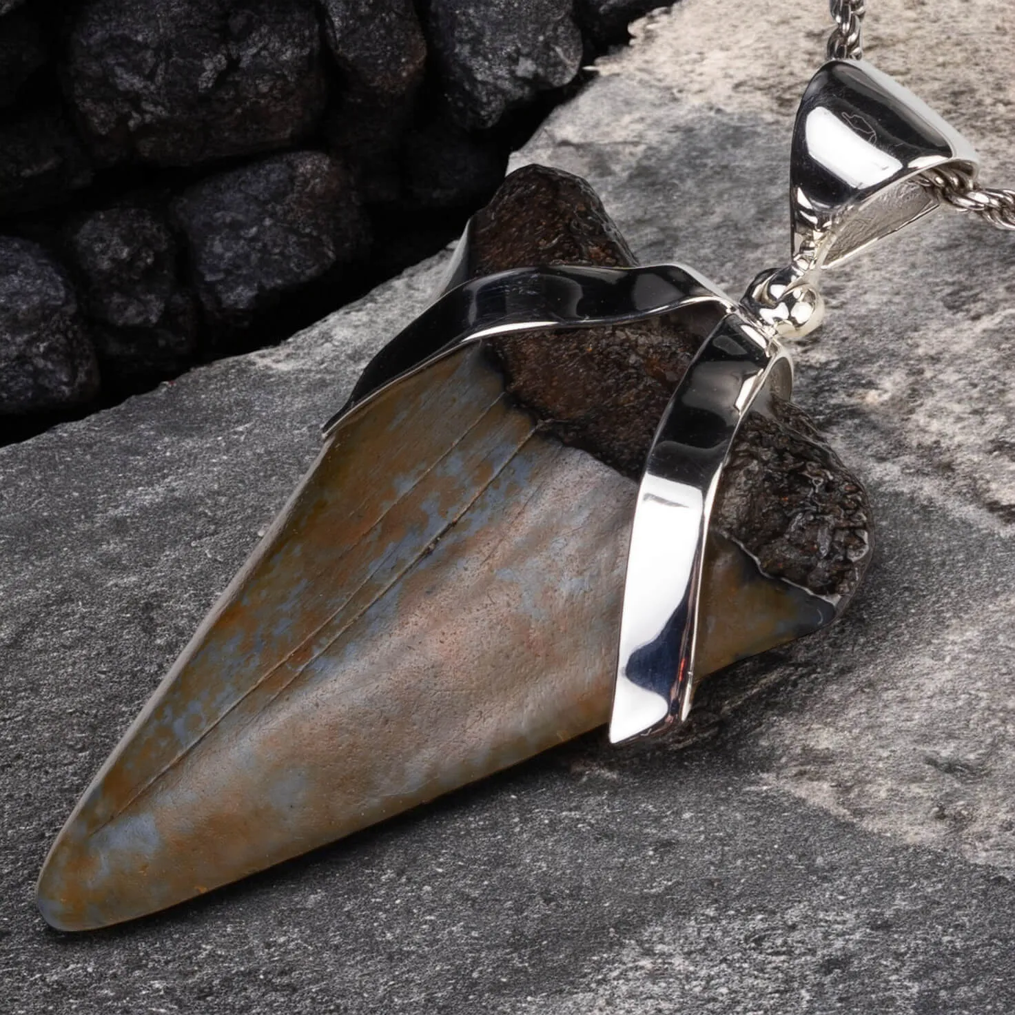 Ciondolo in Argento con Dente Fossile di Carcharodon Hastalis.