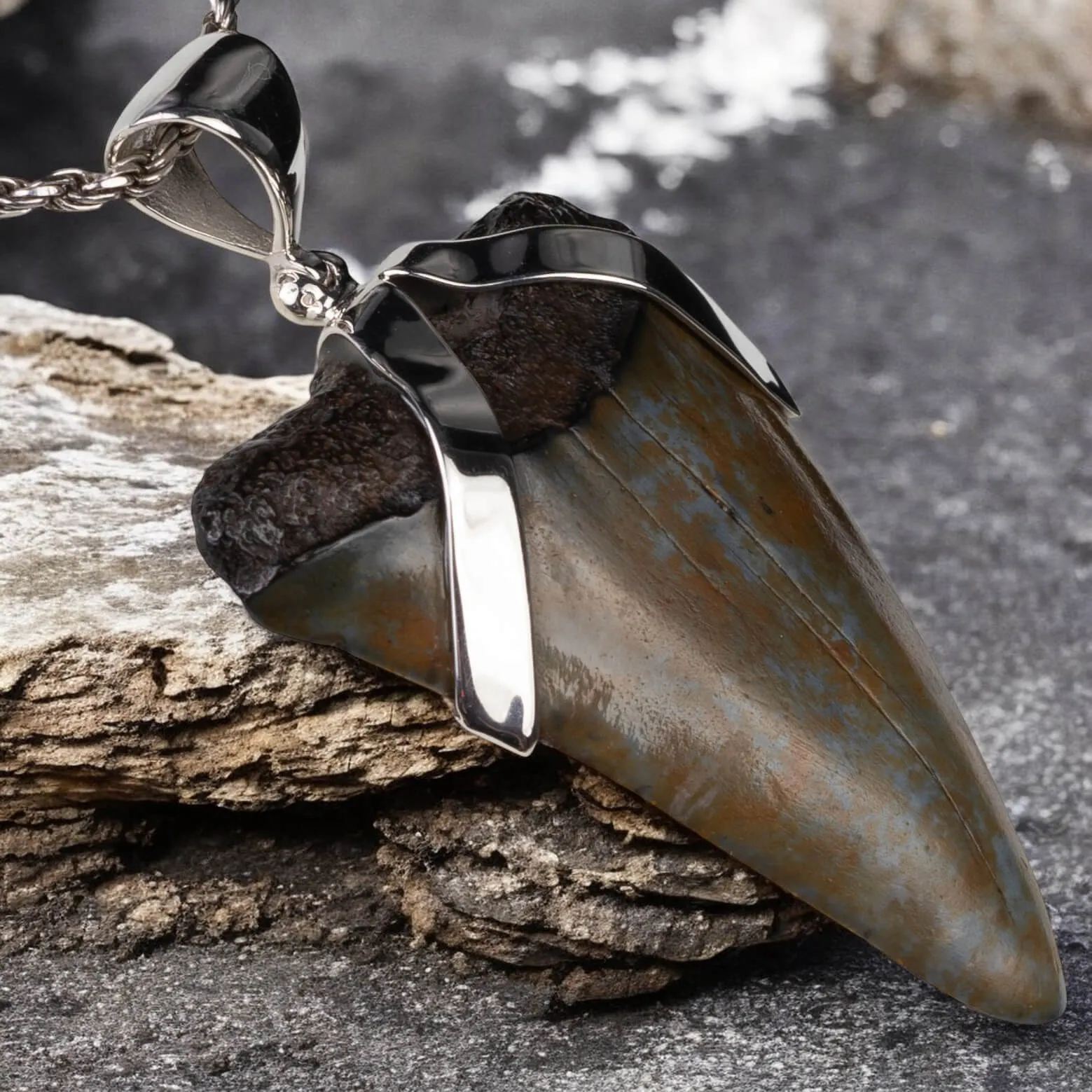 Ciondolo in Argento con Dente Fossile di Carcharodon Hastalis.
