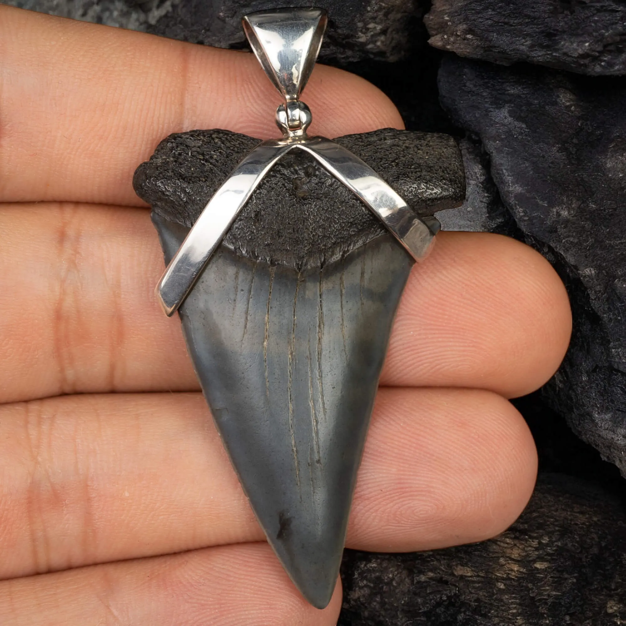 Ciondolo con Dente Fossile di Squalo Preistorico.