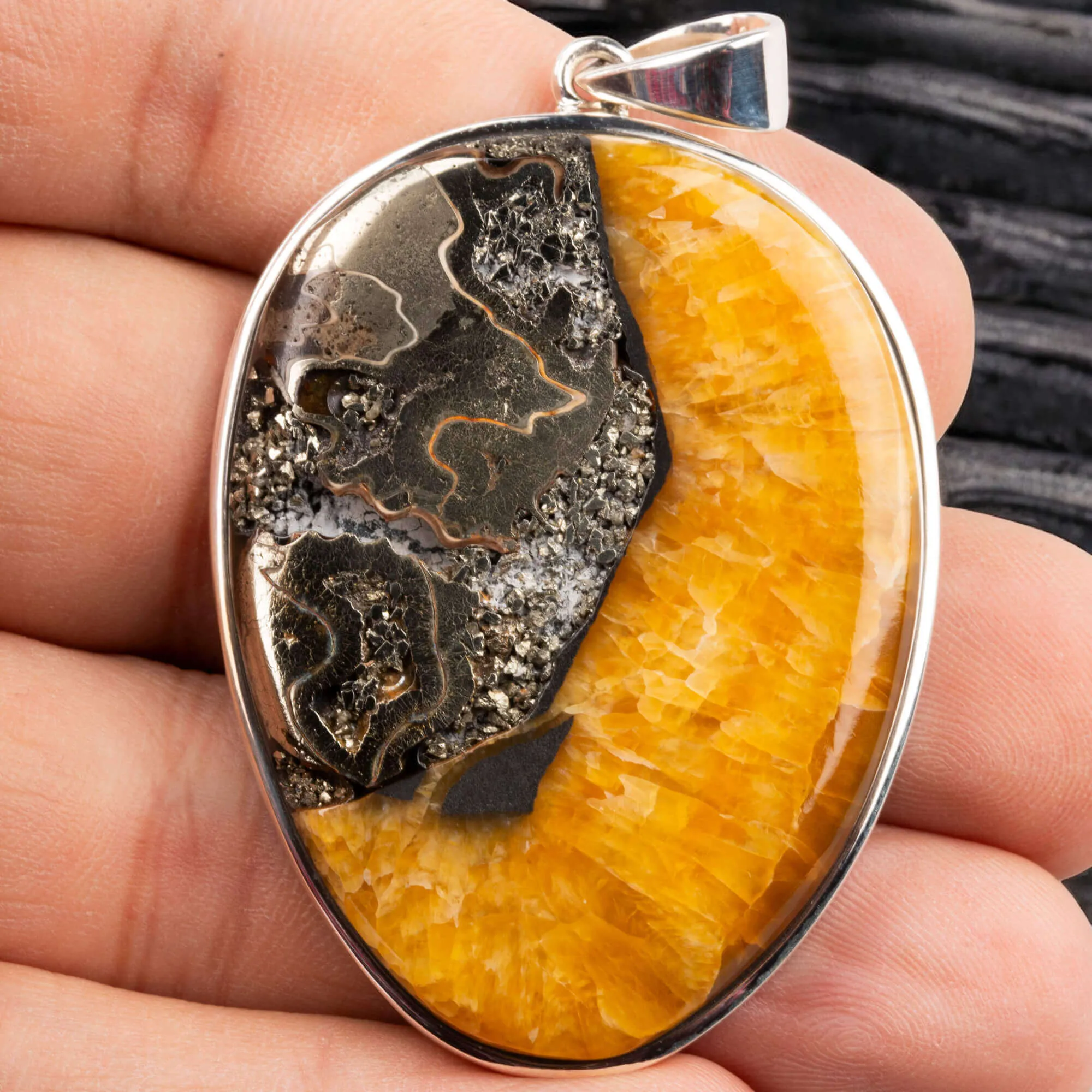Ciondolo in Argento con Ammonite Fossile Speetoniceras.