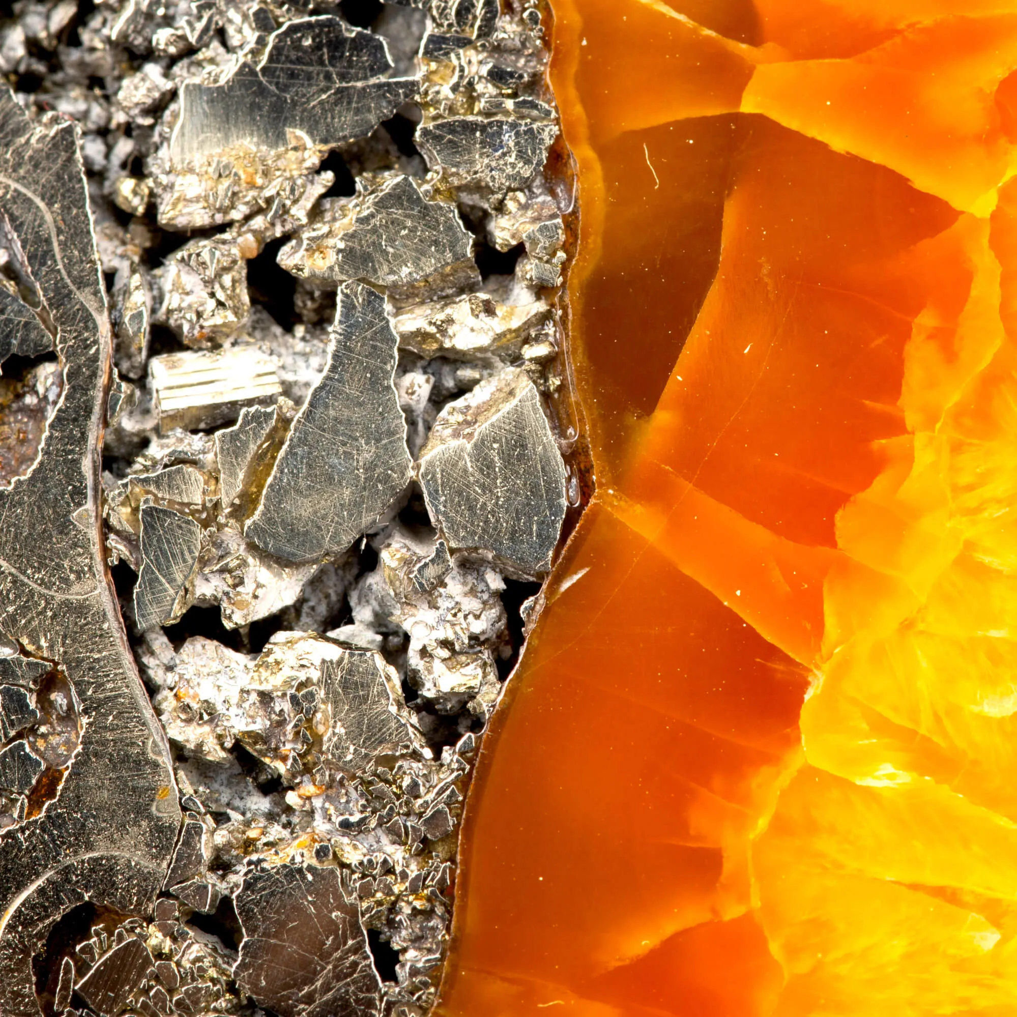 Ciondolo in argento con Ammonite fossile – Pirite, Aragonite e Calcite.