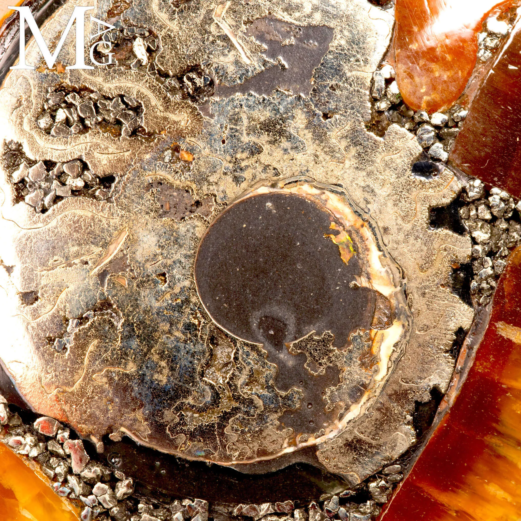 Ciondolo - Ammonite Fossile Piritizzata