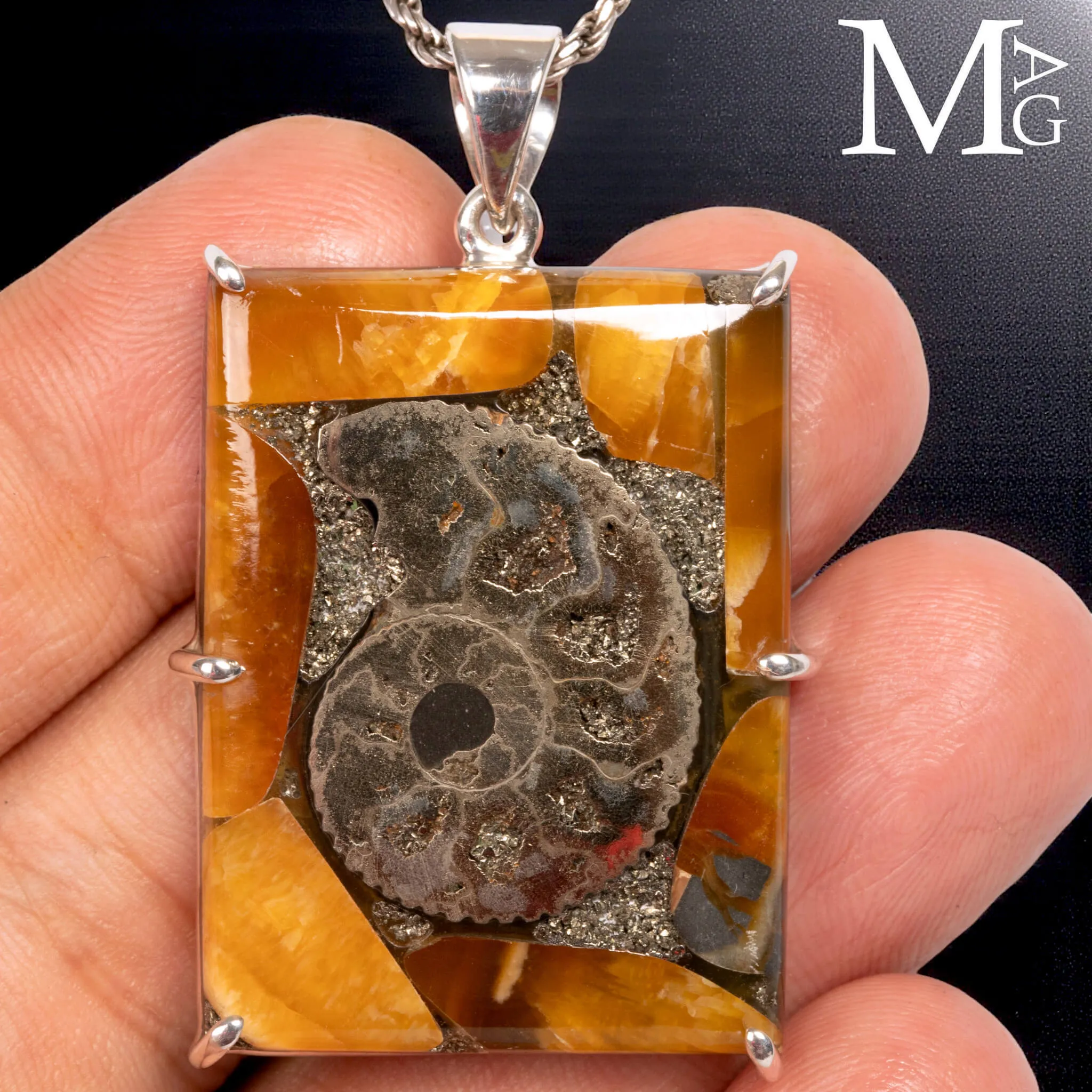 Ammonite Fossile - Il Respiro del Cretaceo
