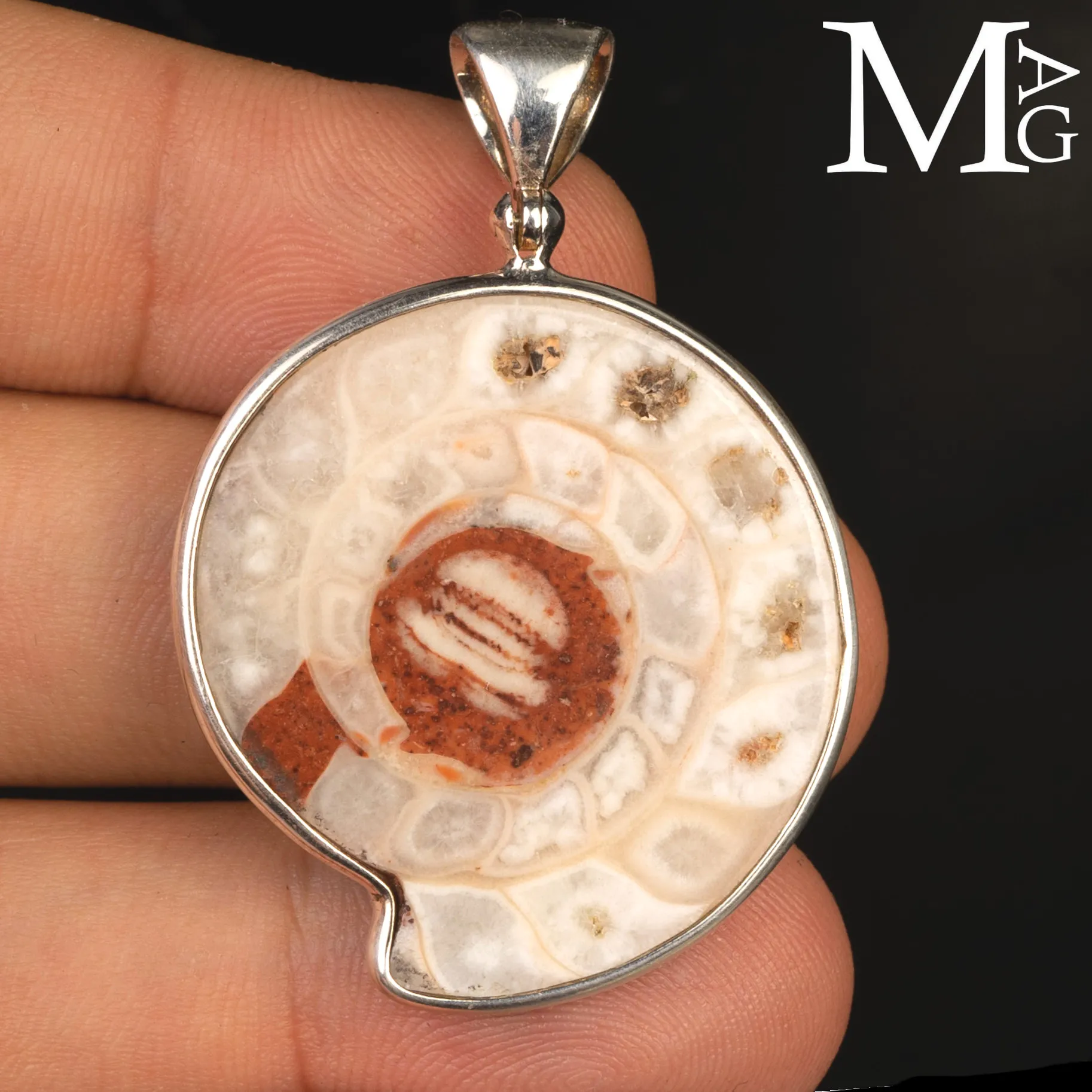 Ciondolo in Argento con Ammonite Fossile Metalegoceras