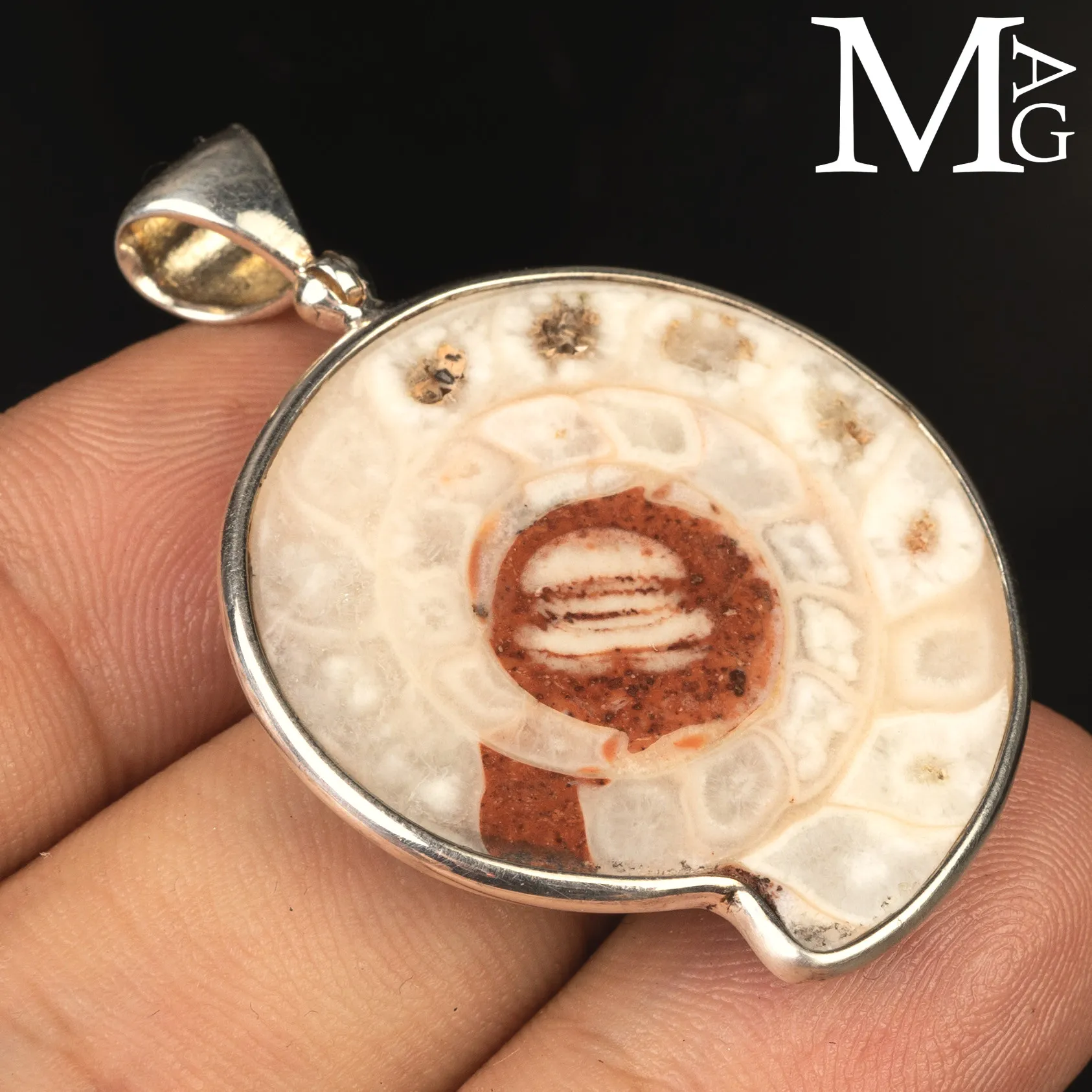 Ciondolo in Argento con Ammonite Fossile Metalegoceras