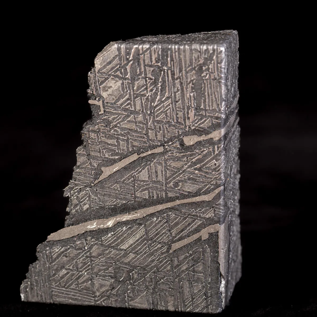 Aletai Meteorite Campione
