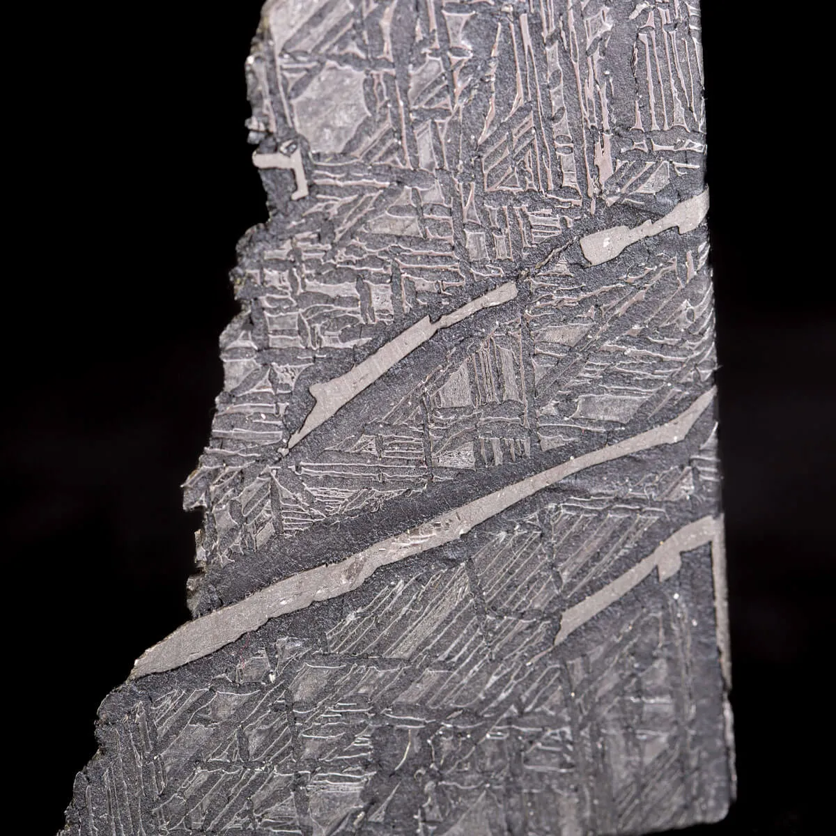 Aletai Meteorite Campione
