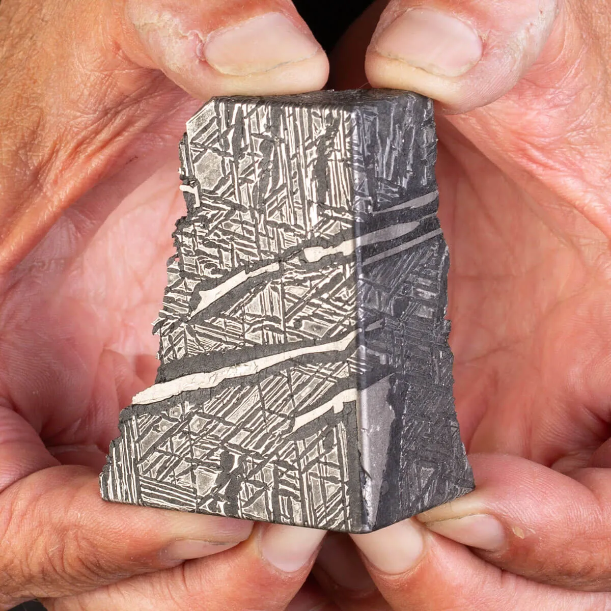Aletai Meteorite Campione