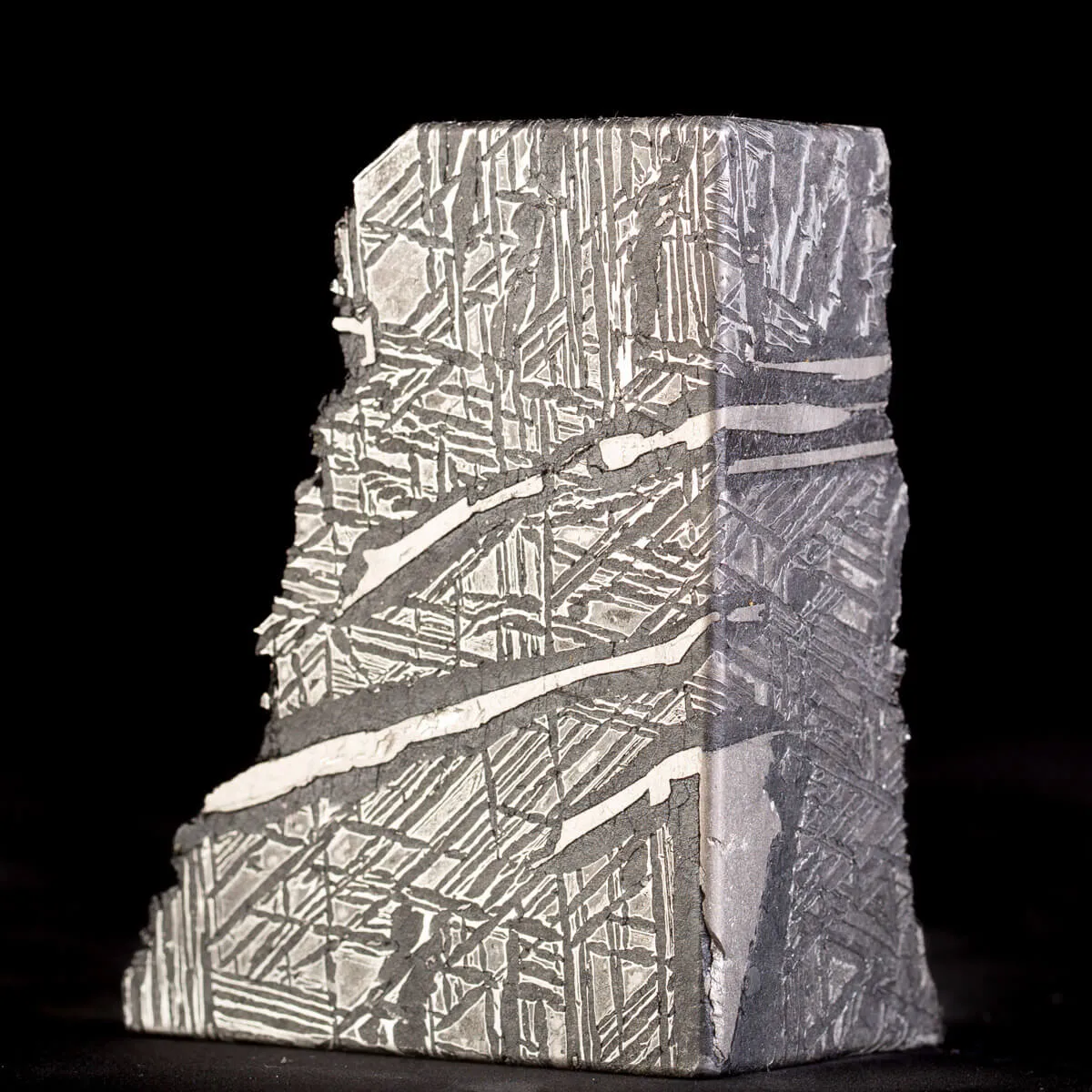 Aletai Meteorite Campione
