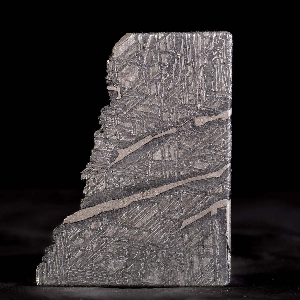 Aletai Meteorite Campione