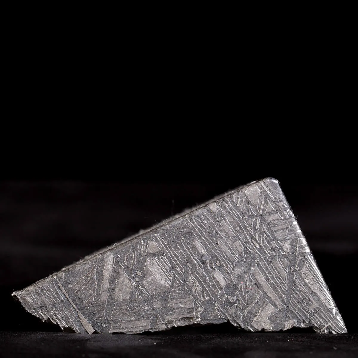 Aletai Meteorite Campione