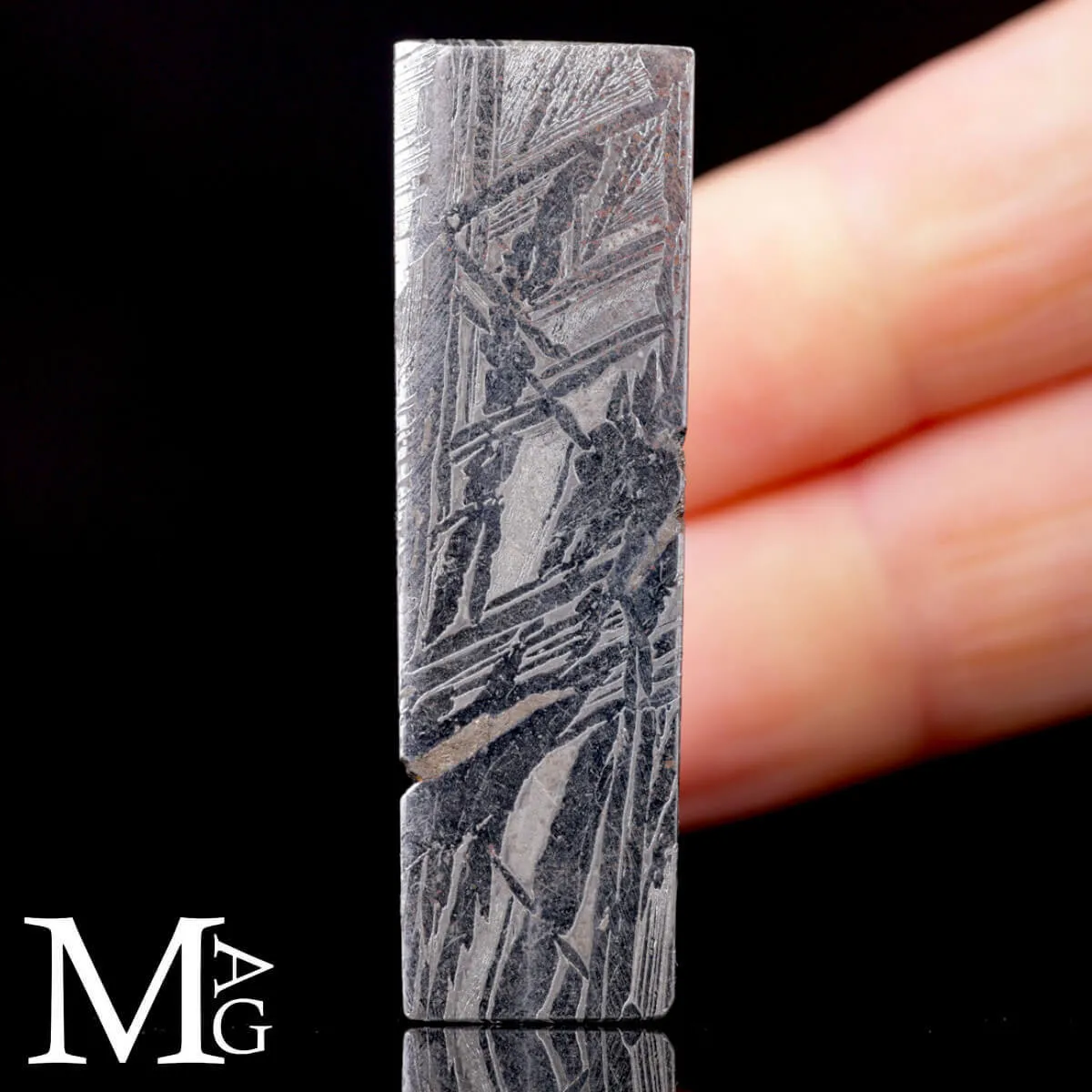 Meteorite Aletai – Sezione lucidata con trame Widmanstätten.